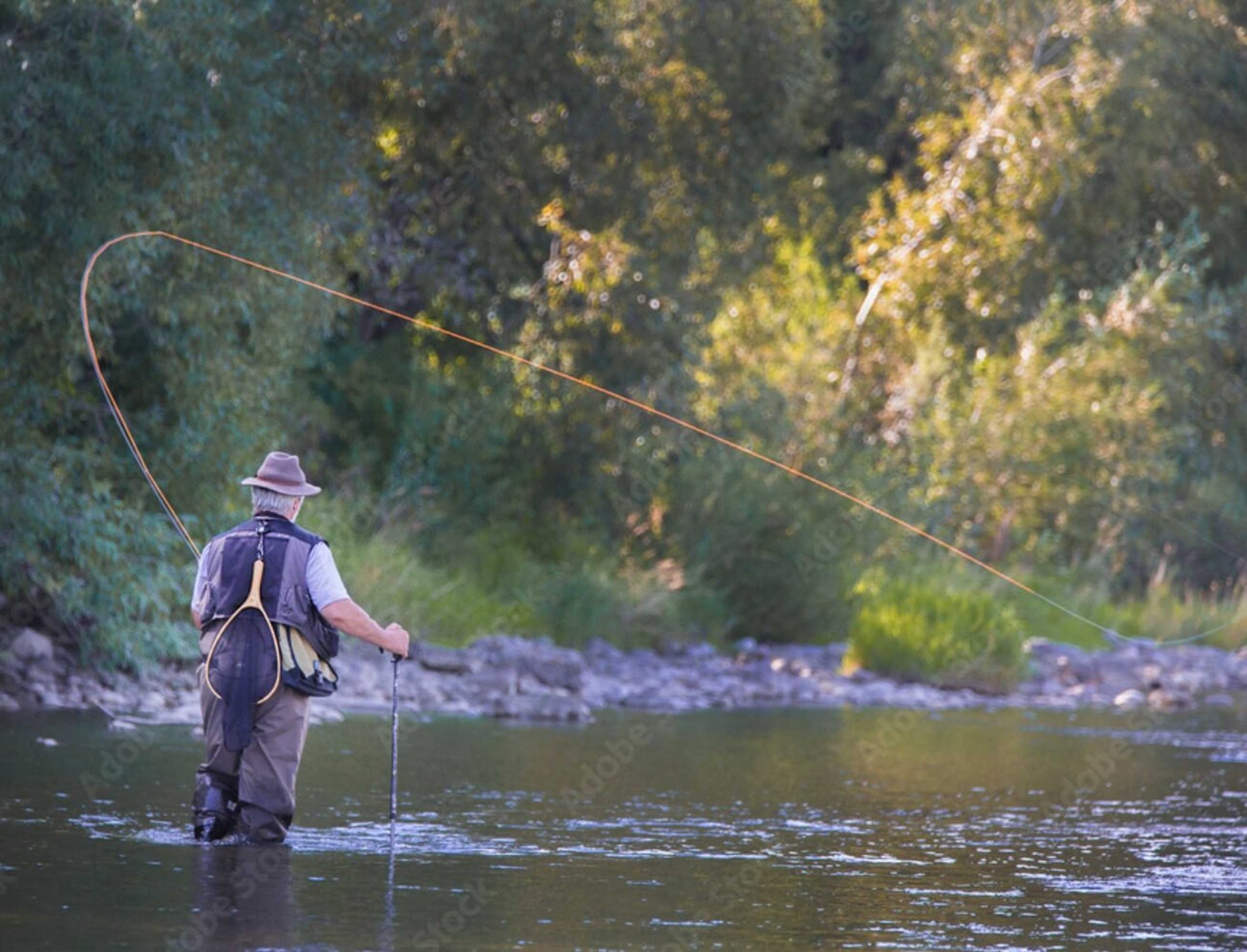 Gift card for Vumba - House of The Lizard