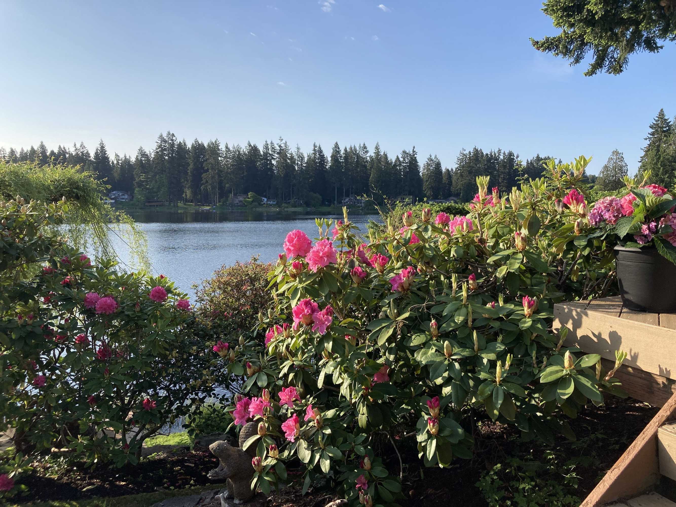 Gift card for Cottage Lake Bed And Breakfast Gift card for Cottage Lake Bed And Breakfast