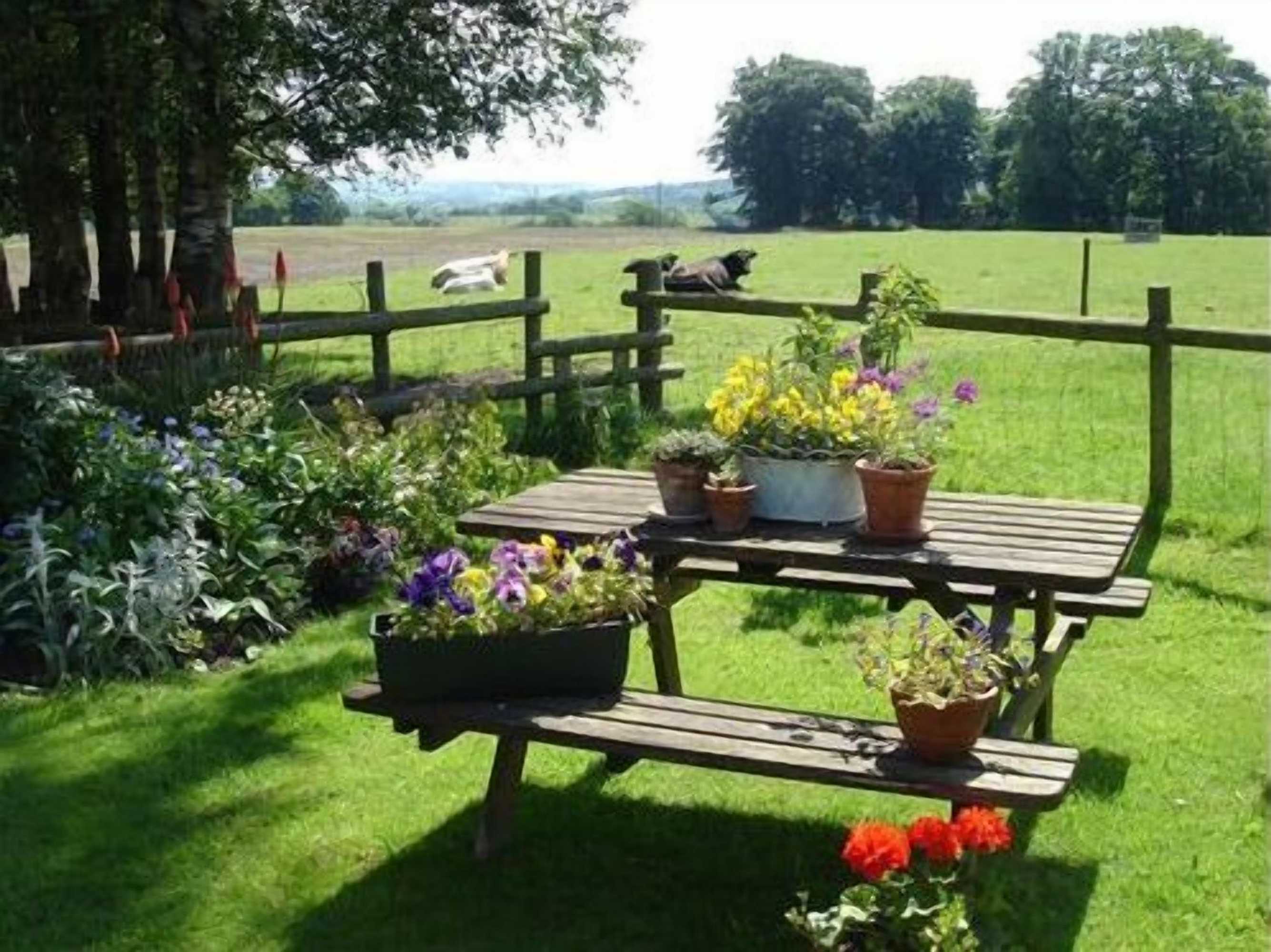 Gift card for Yew Tree Farm