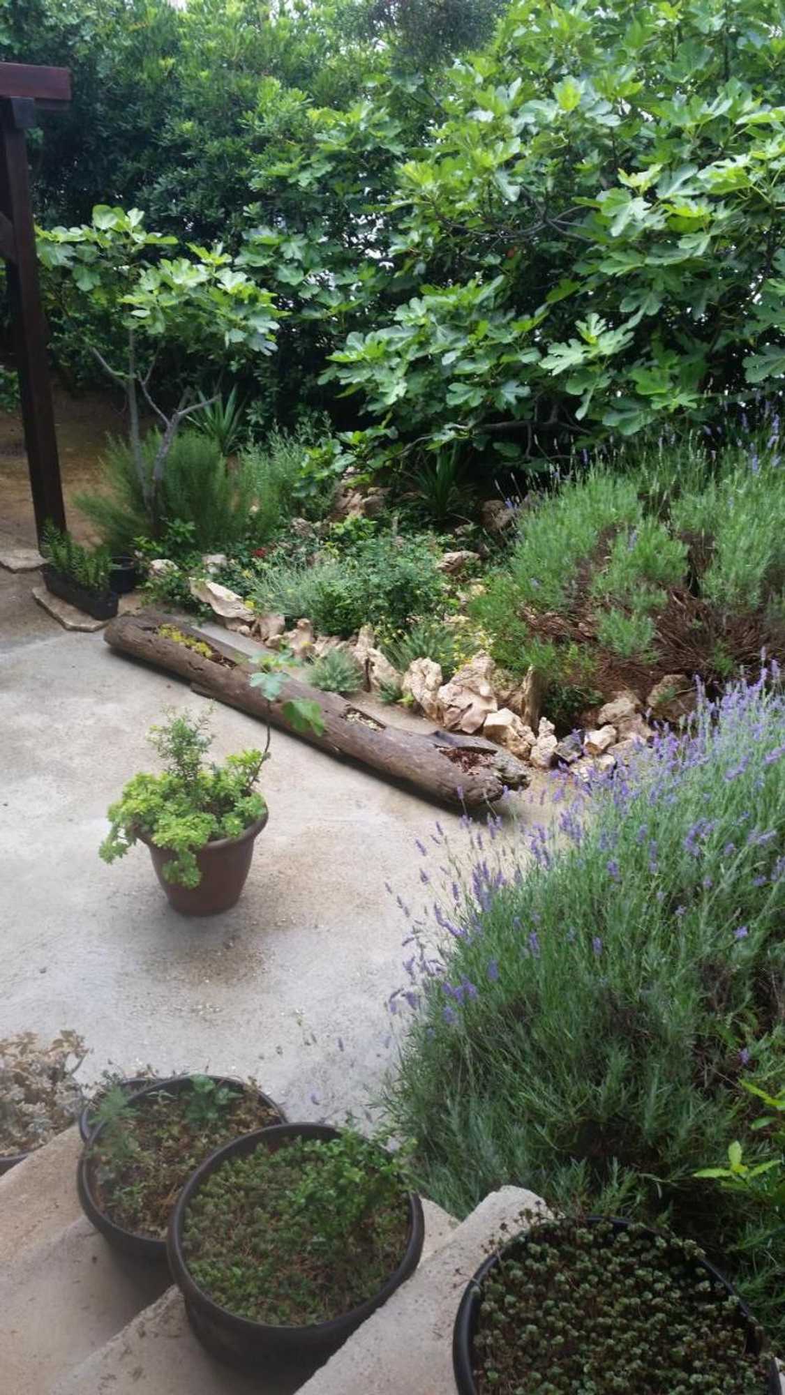 Gift card for Bed & Breakfast Dora