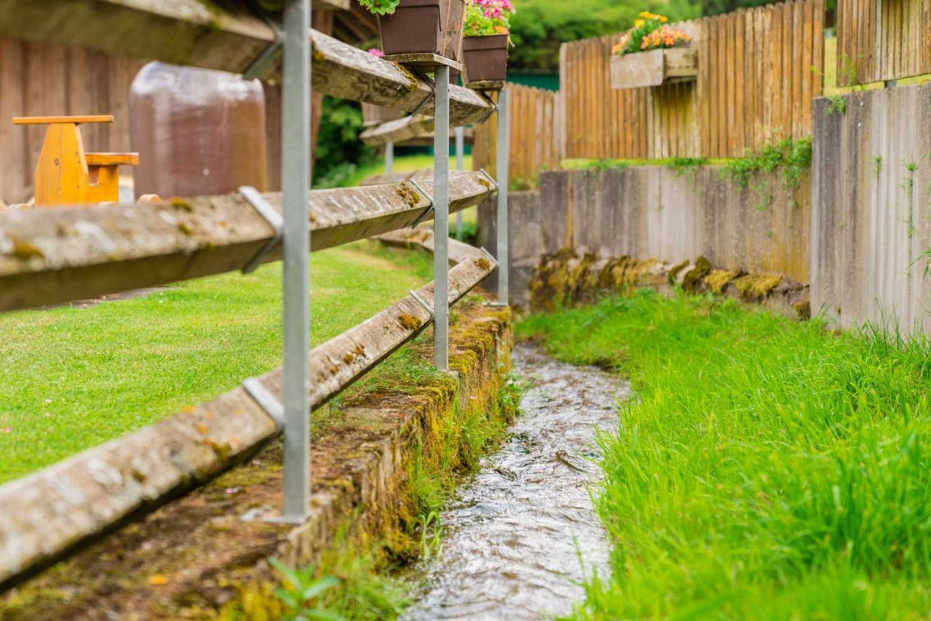 Gift card for Gengs Linde