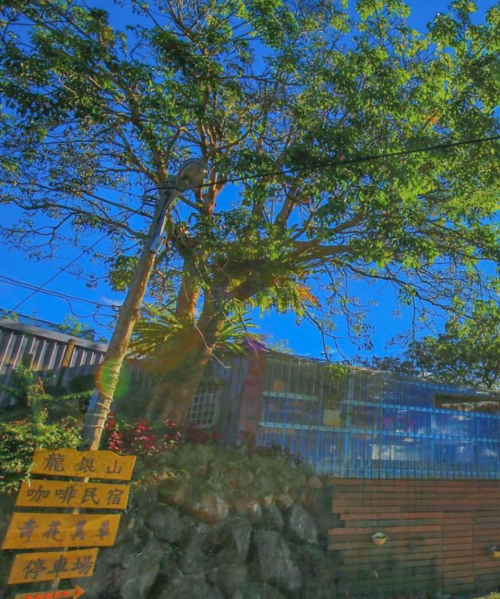 Gift card for Seeking - Alishan Sunrise Gift card for Seeking - Alishan Sunrise