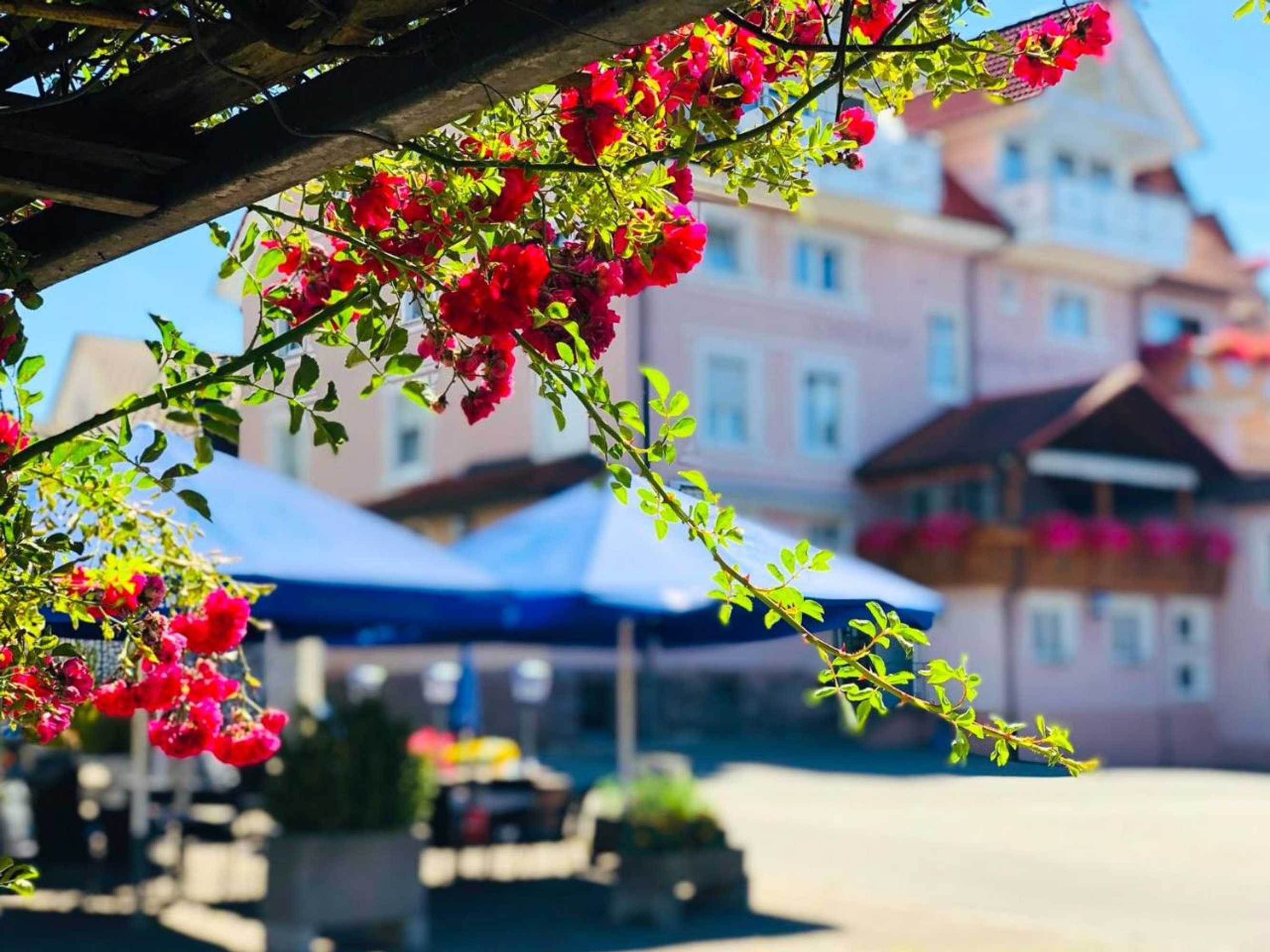 Gift card for Hotel Restaurant Zum Hirschen