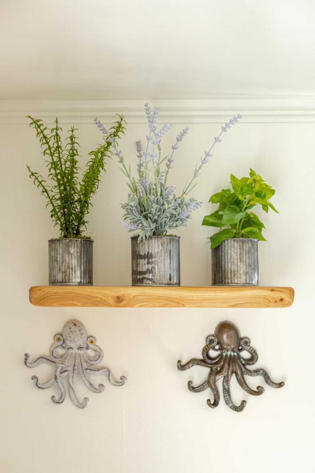 Gift card for Enchanted Cottages by The Sea