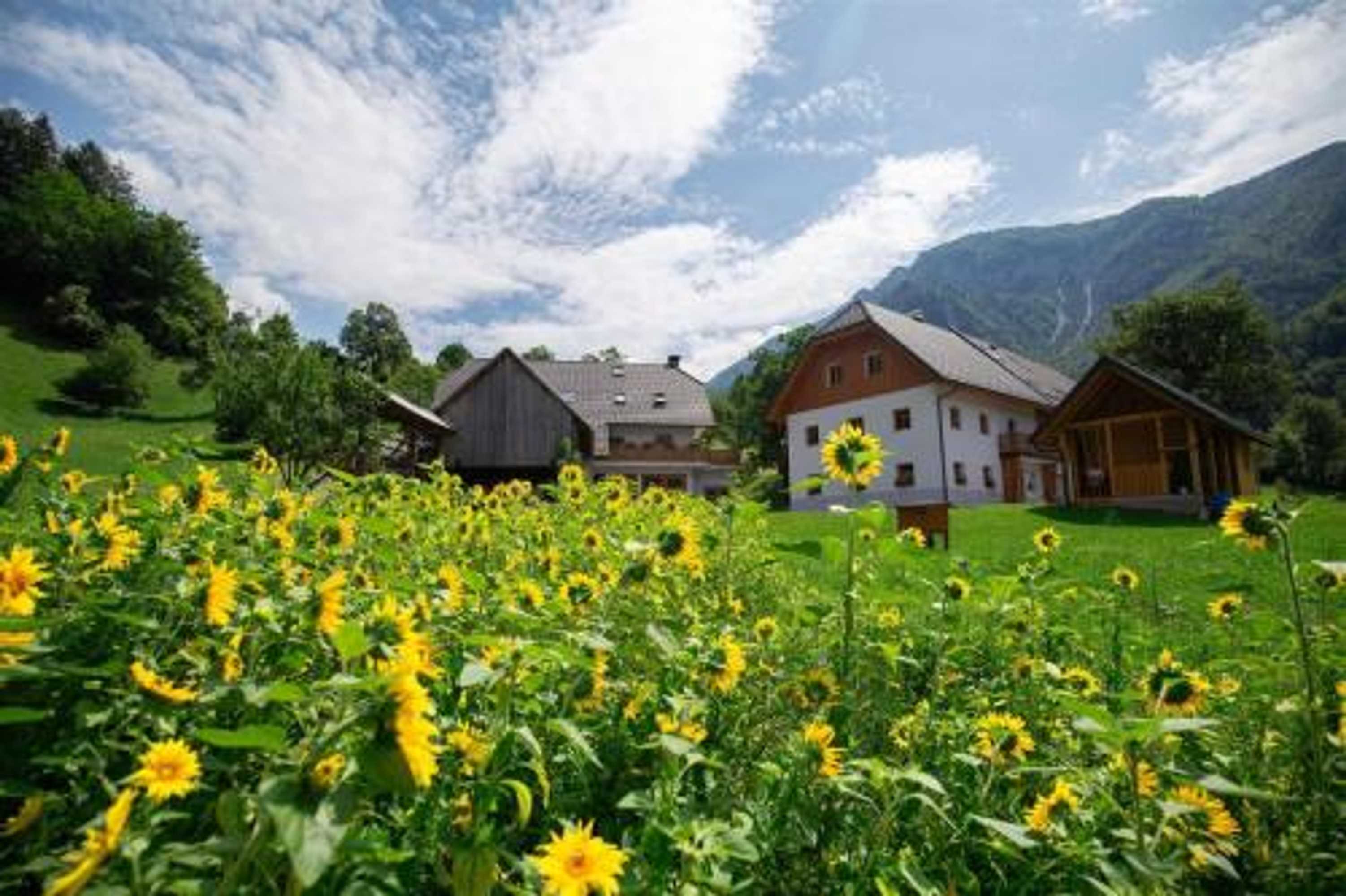 Gift card for Apartments Tourist Farm Štorman With EV Ch-Station Gift card for Apartments Tourist Farm Štorman With EV Ch-Station