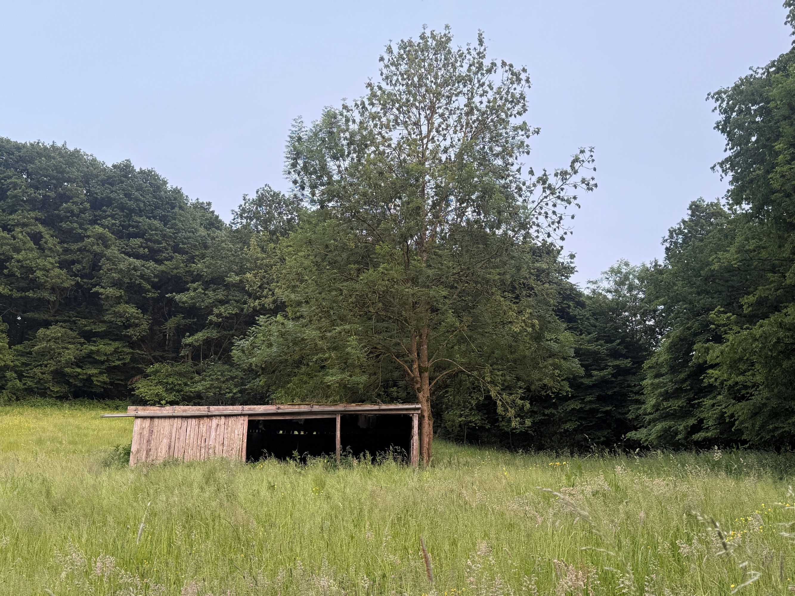 Gift card for Hotel Waldberg