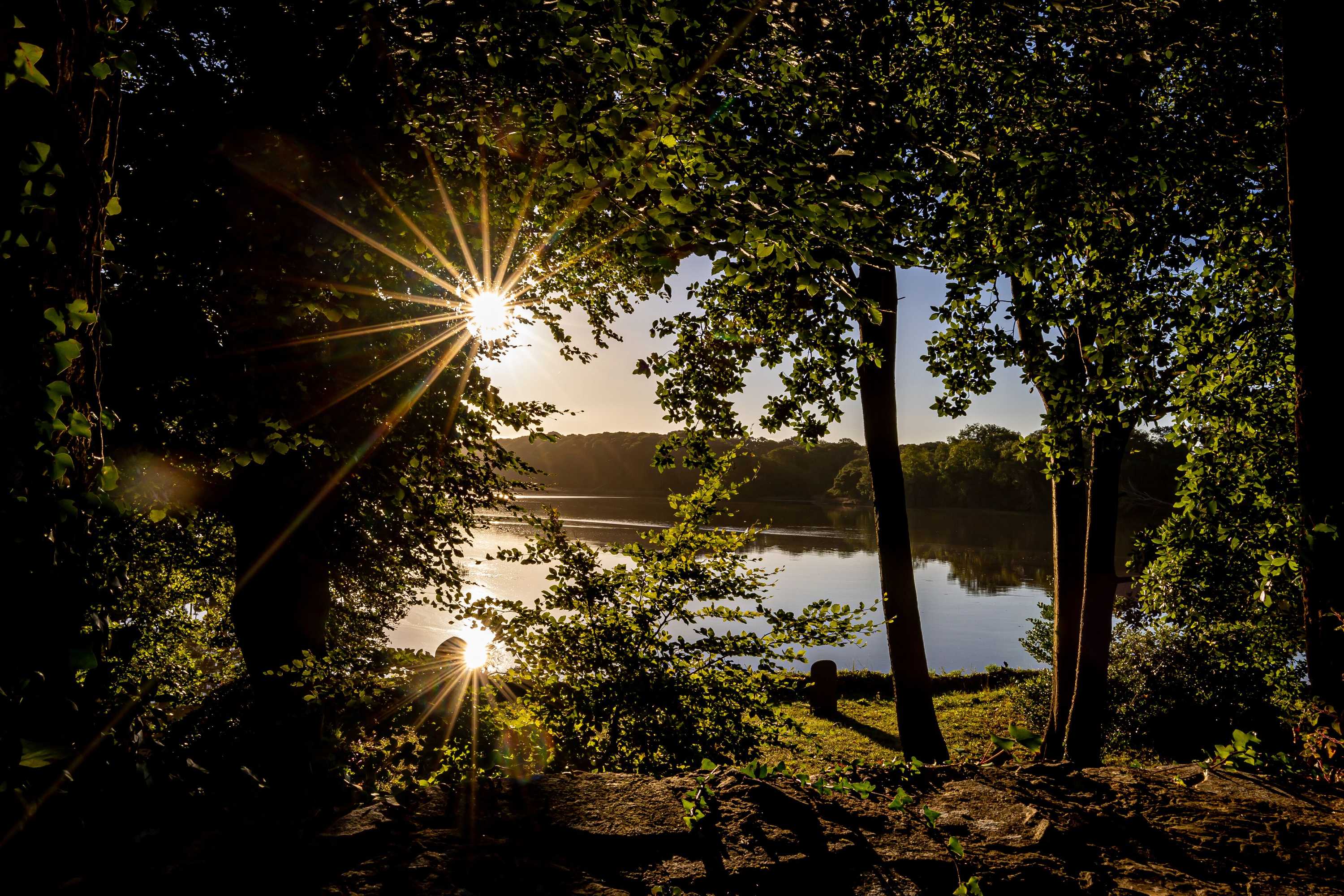 Gift card for Slebech Park Restaurant & Rooms