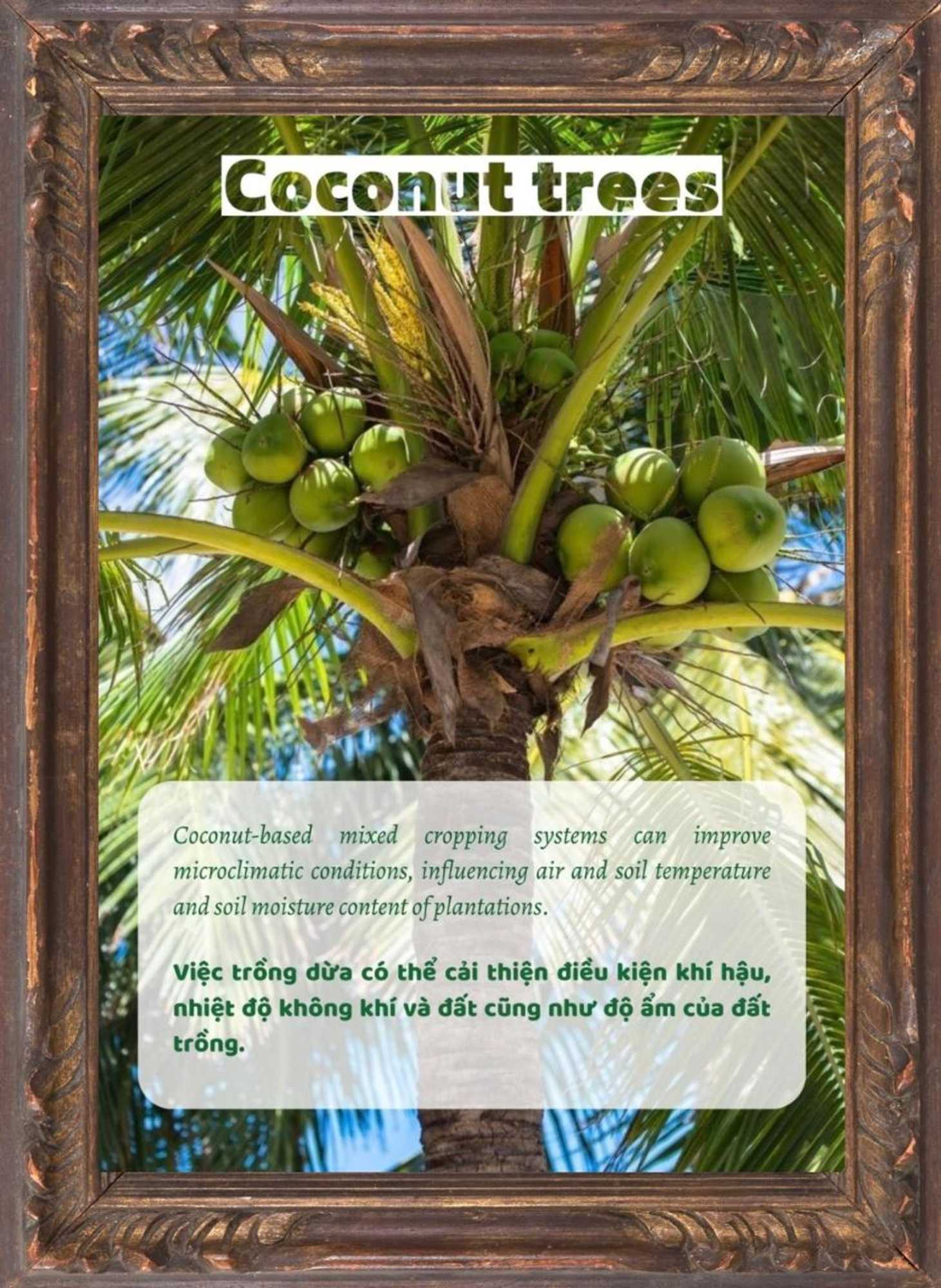 Gift card for Paradise Resort Doc Let Gift card for Paradise Resort Doc Let