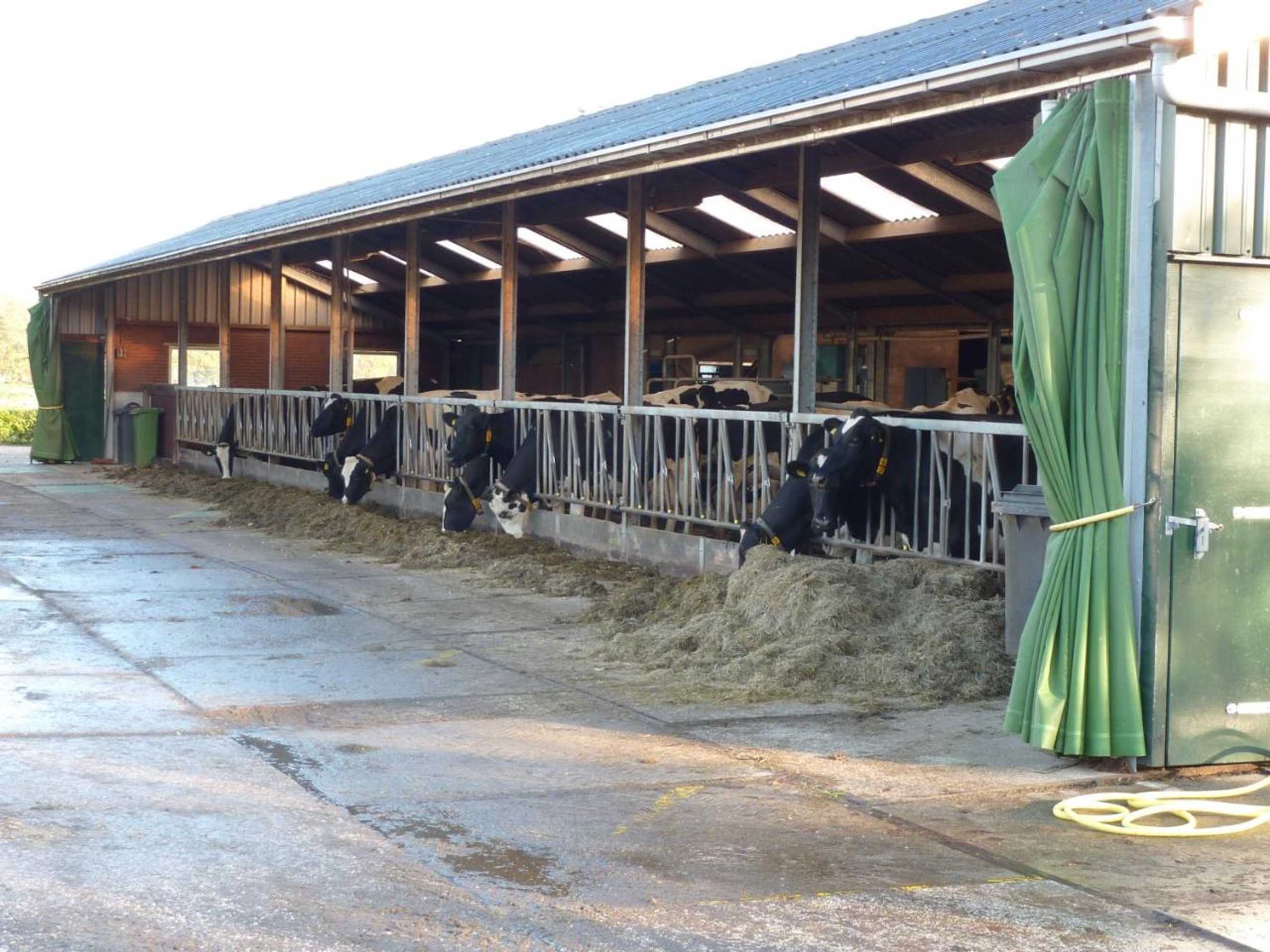 Gift card for Boerderij 