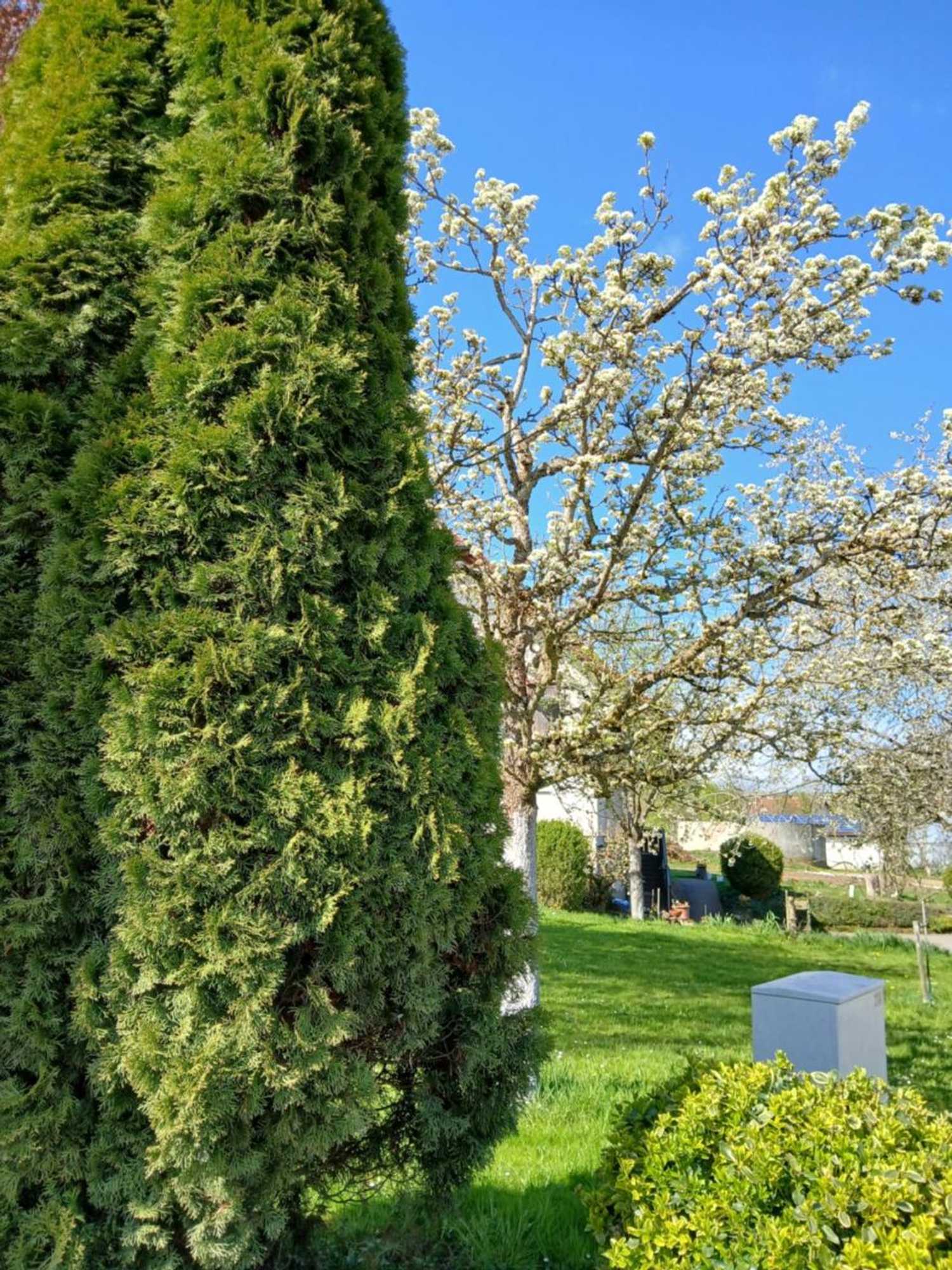 Gift card for Landgasthof Zum Seehof