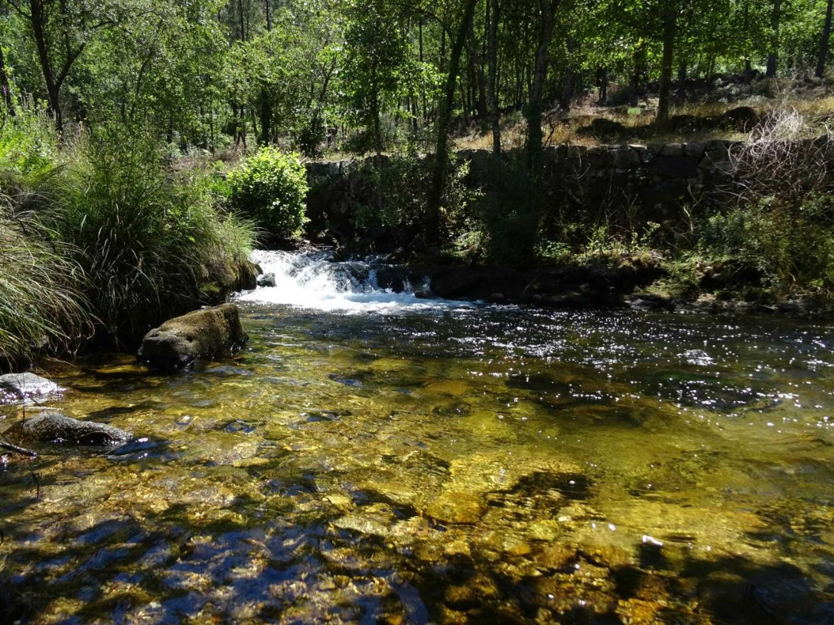 Gift card for Casa de Panque