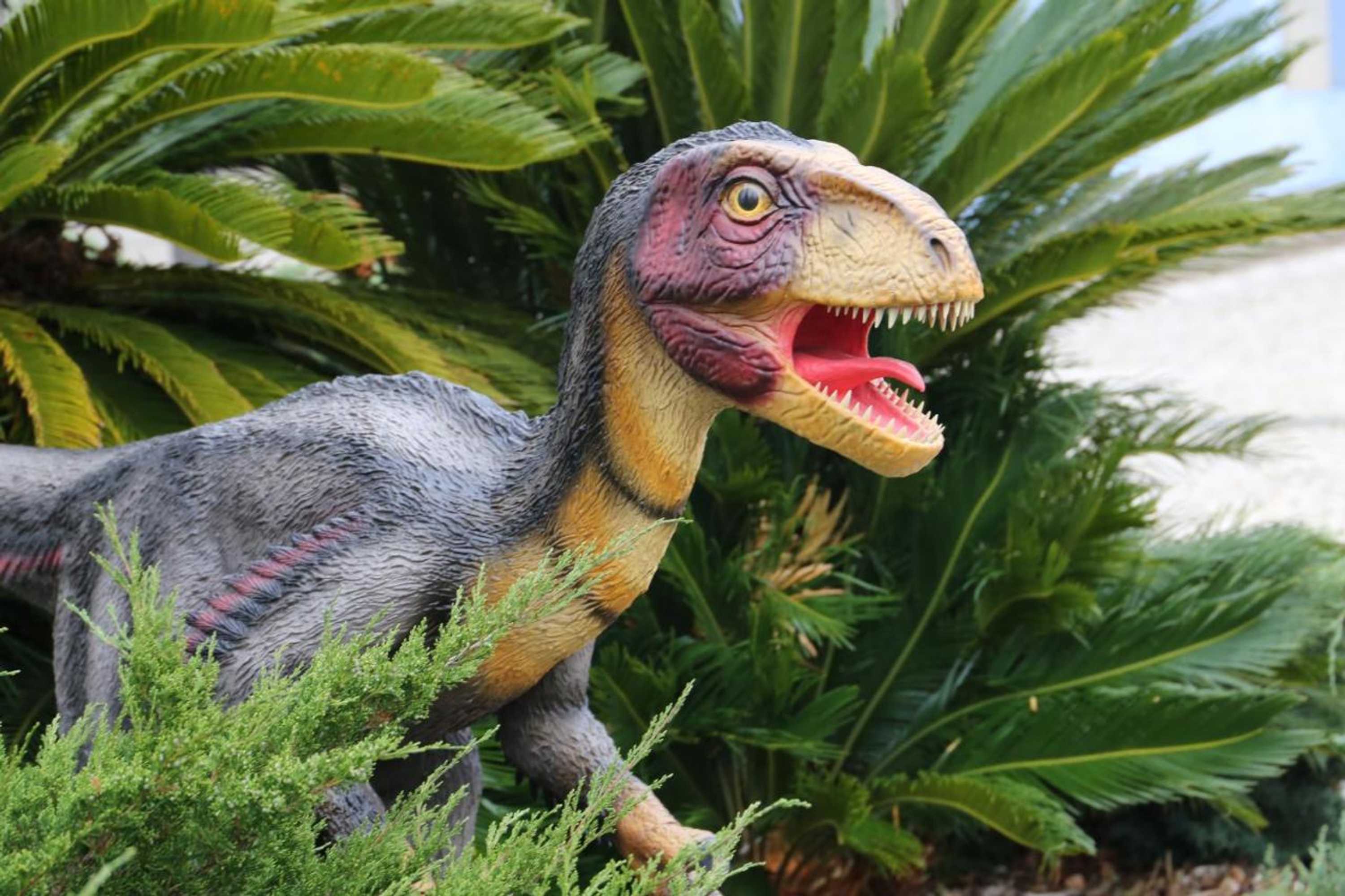 Gift card for Furnaka Village Ecosurf