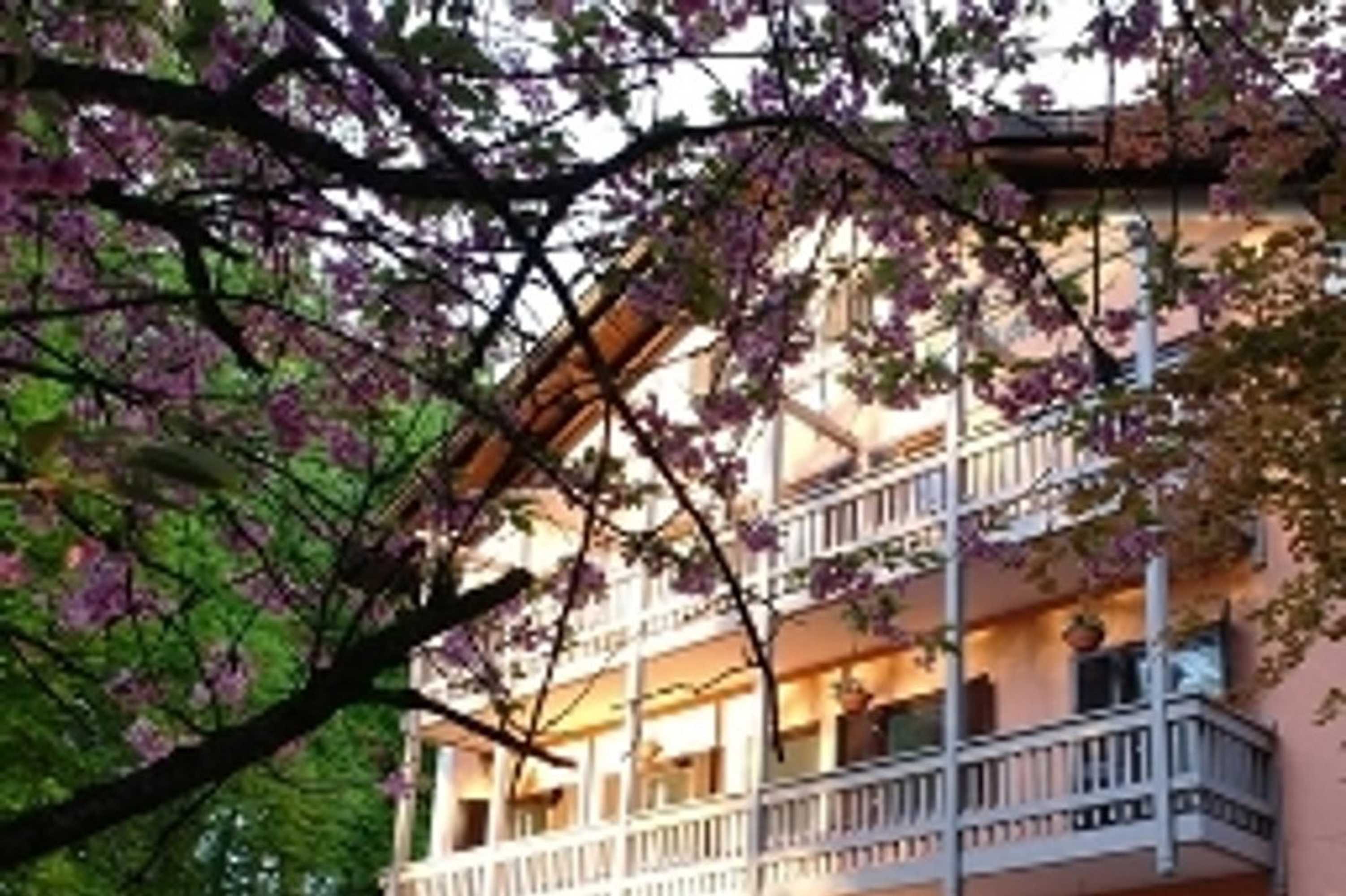 Gift card for Hotel Waldgasthof Buchenhain Gift card for Hotel Waldgasthof Buchenhain