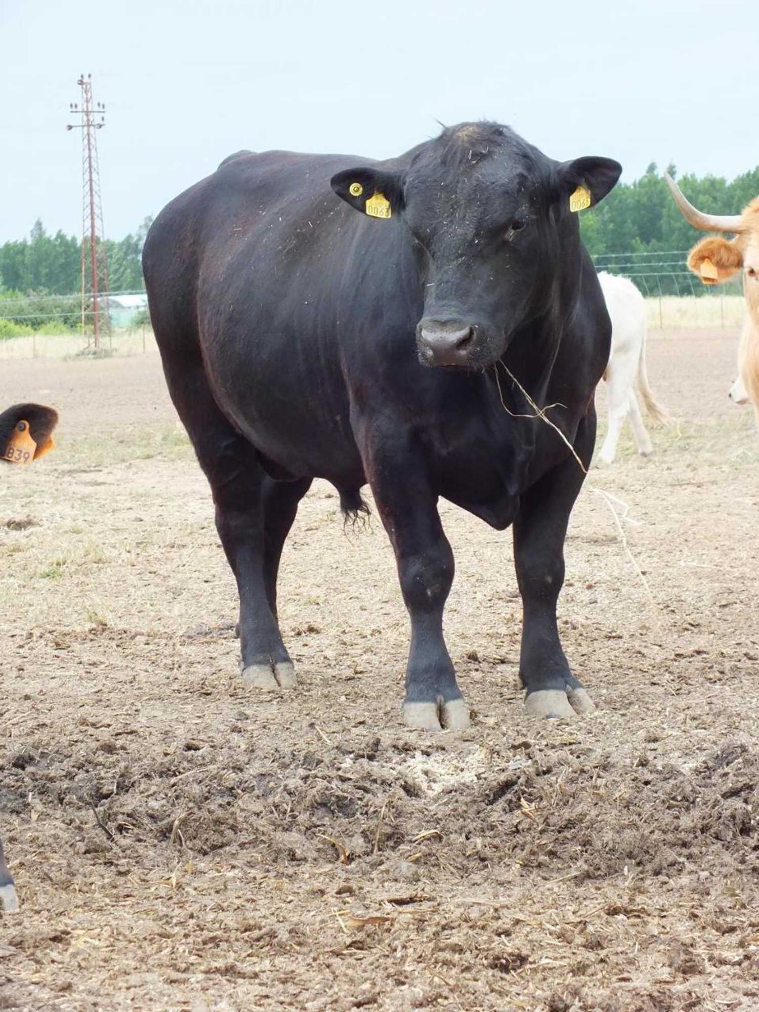 Gift card for Quinta da Gafaria