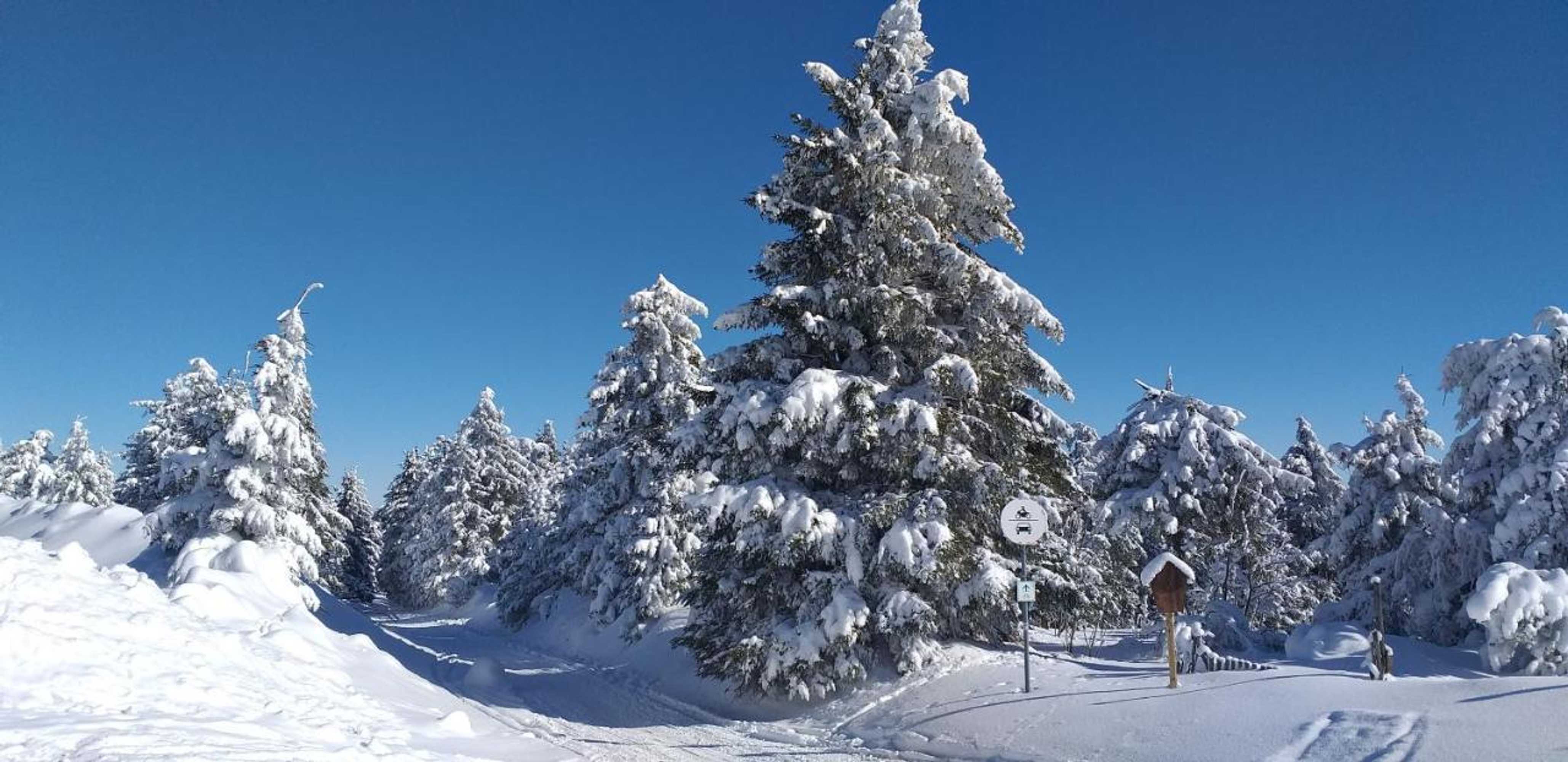 Gift card for Pension Berghof