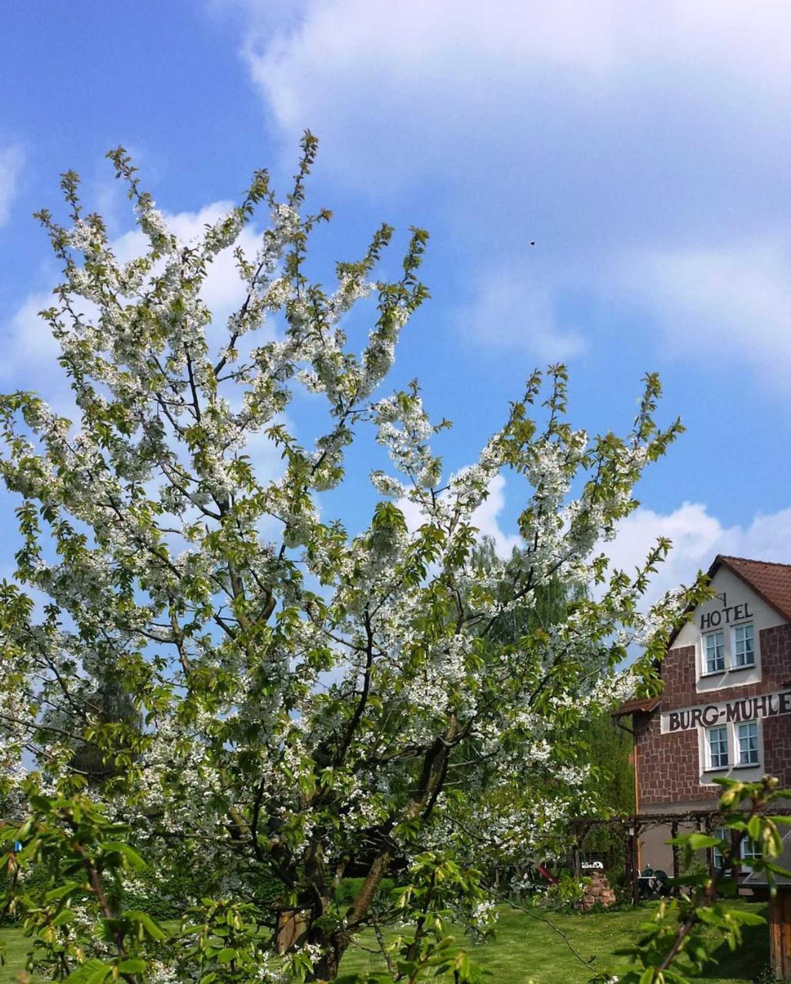 Gift card for Hotel Burg-Mühle