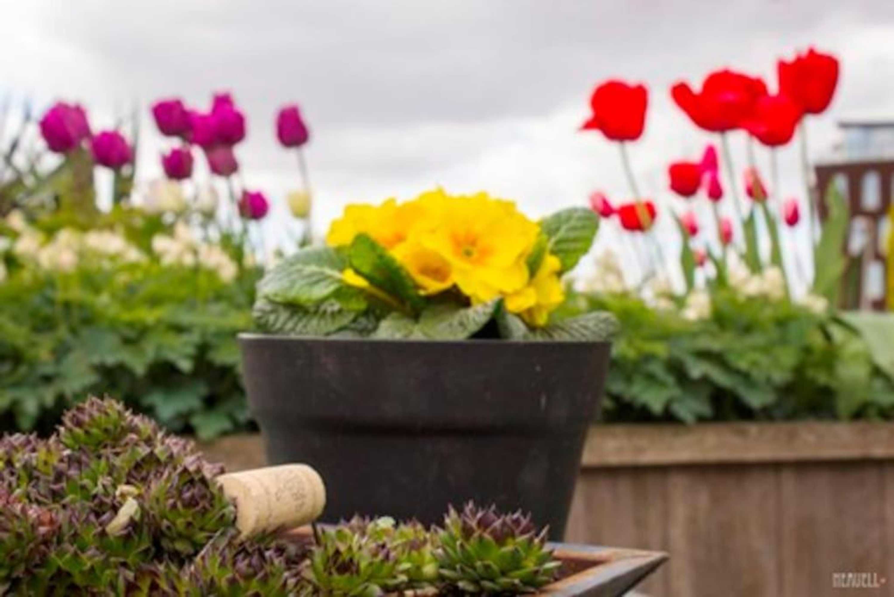 Gift card for Studio Polderpoort