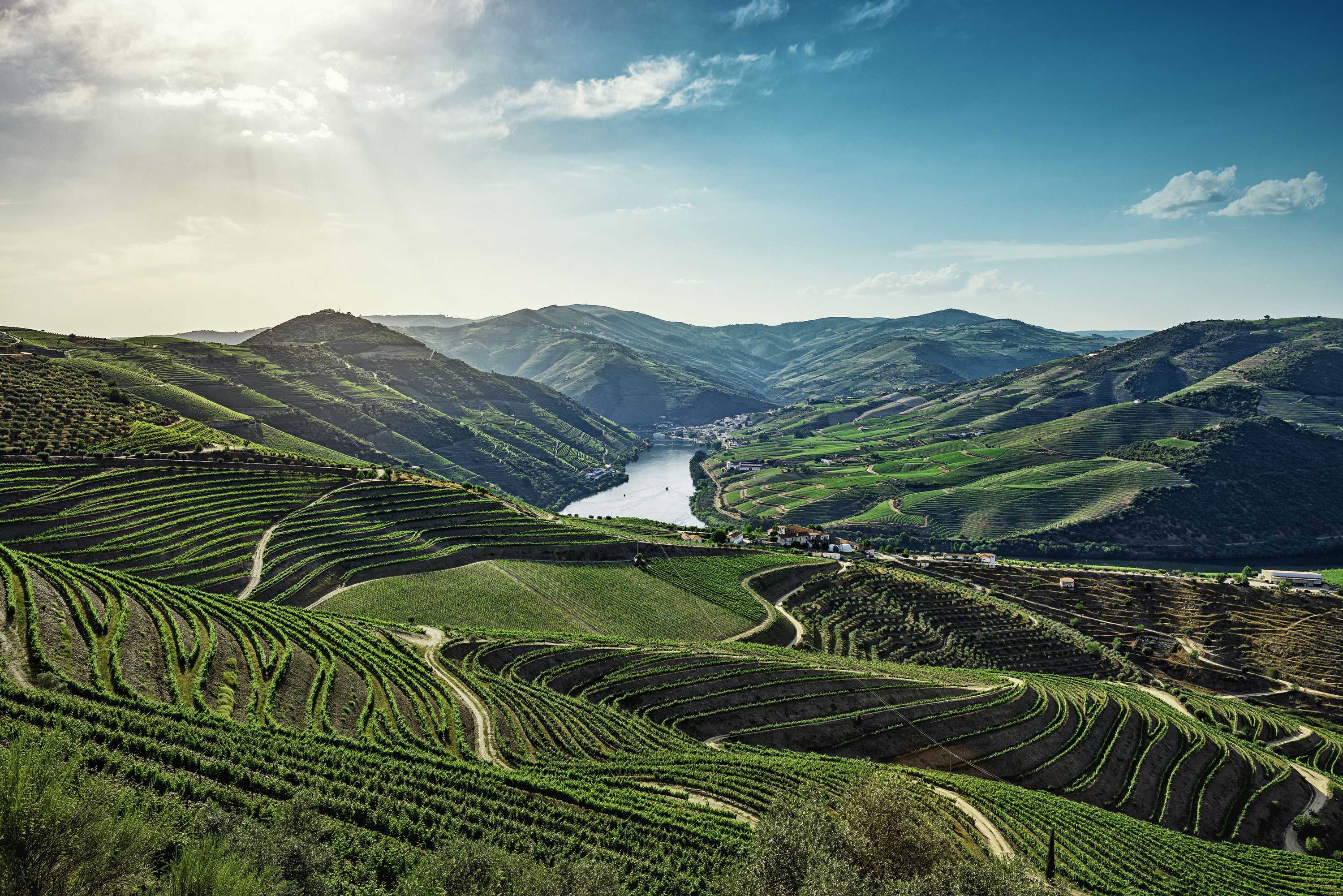 Gift card for The Vintage House - Douro Gift card for The Vintage House - Douro
