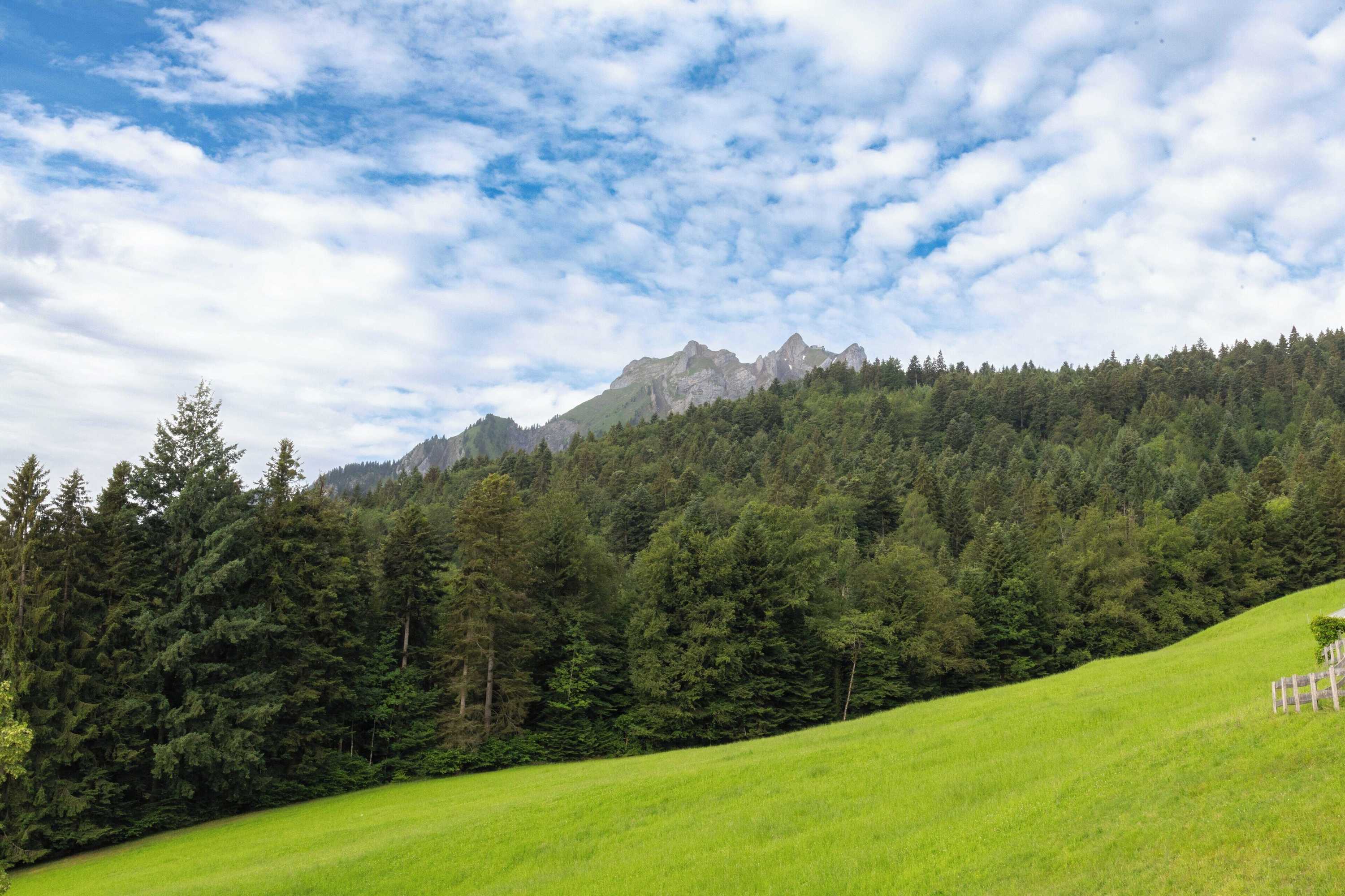 Gift card for Ibis Budget Luzern City