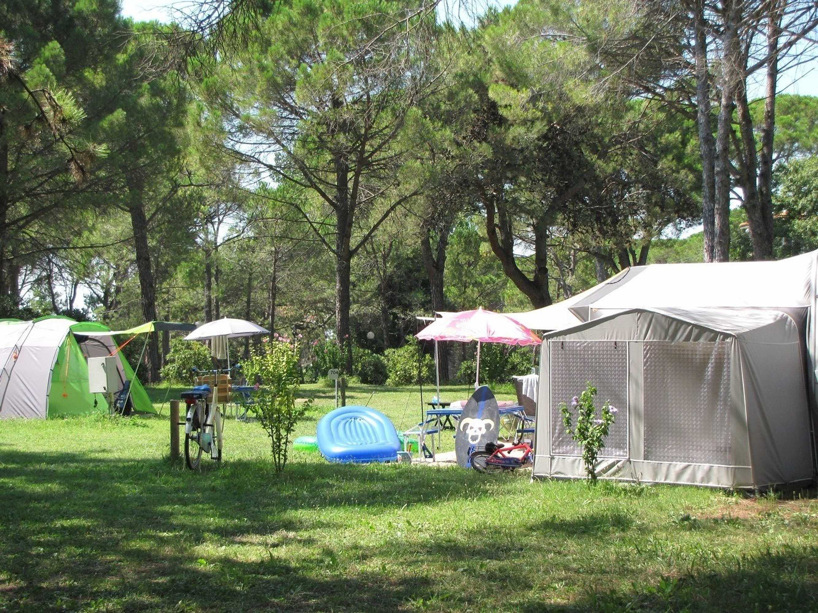 Gift card for Belvedere Pineta Camping Village Gift card for Belvedere Pineta Camping Village