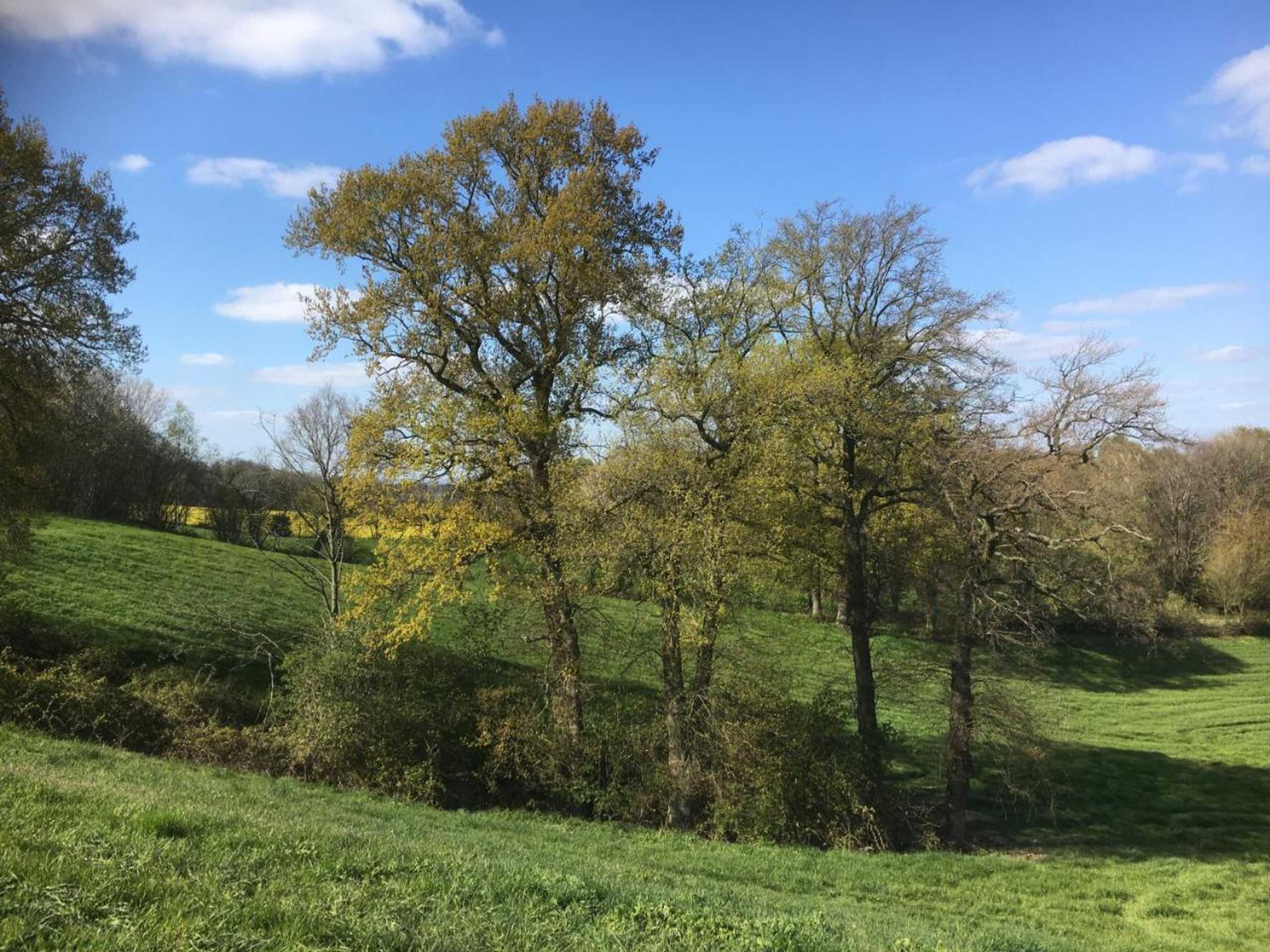 Gift card for Hof Spöde