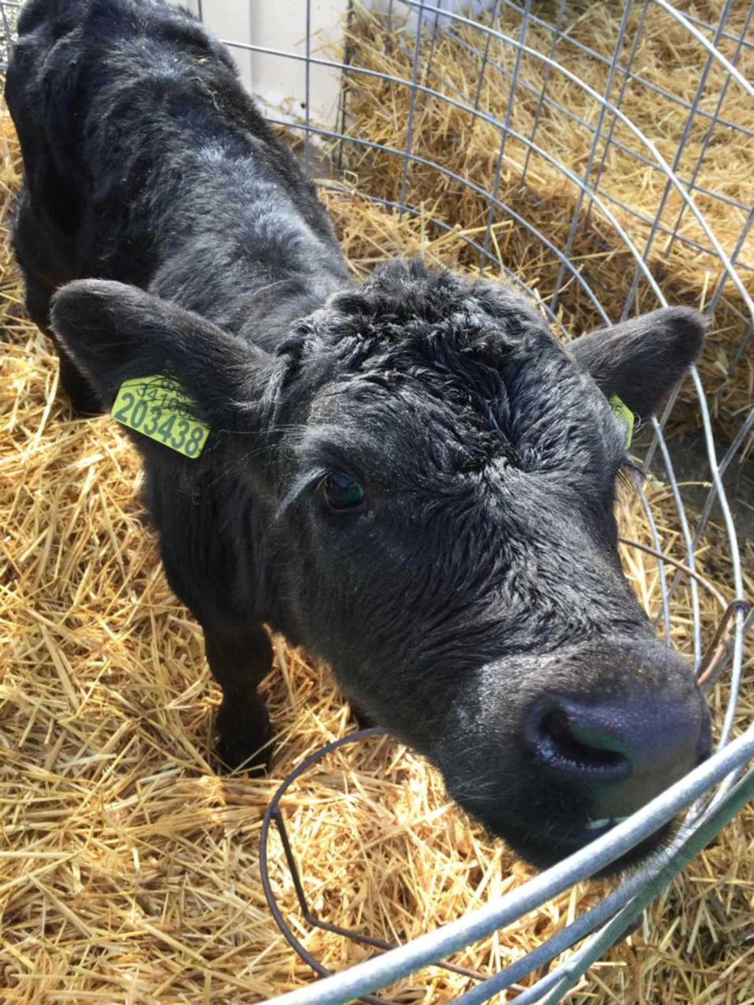 Gift card for Church Farm