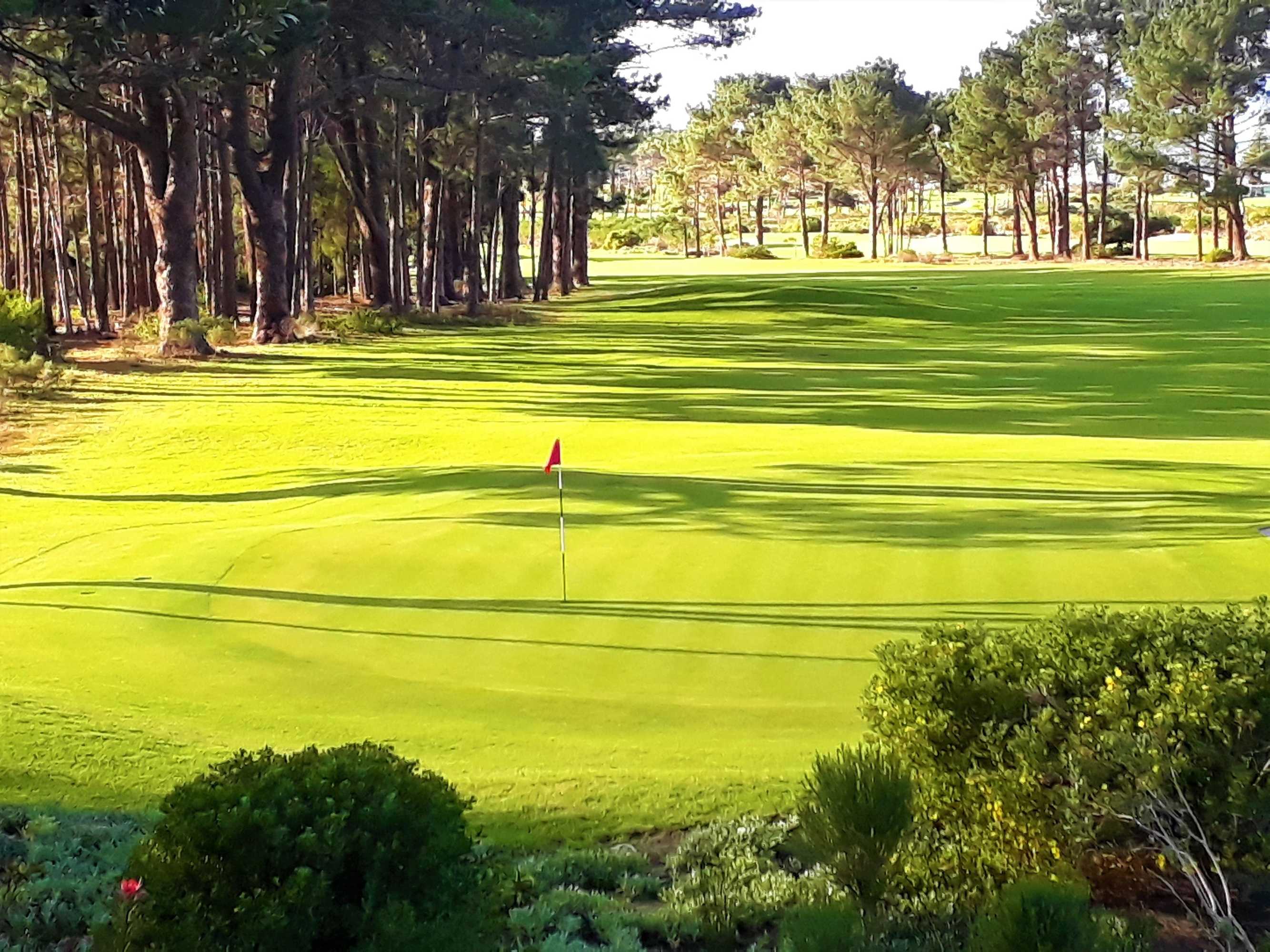Gift card for Hermanus Lodge on The Green - Solar Power Gift card for Hermanus Lodge on The Green - Solar Power