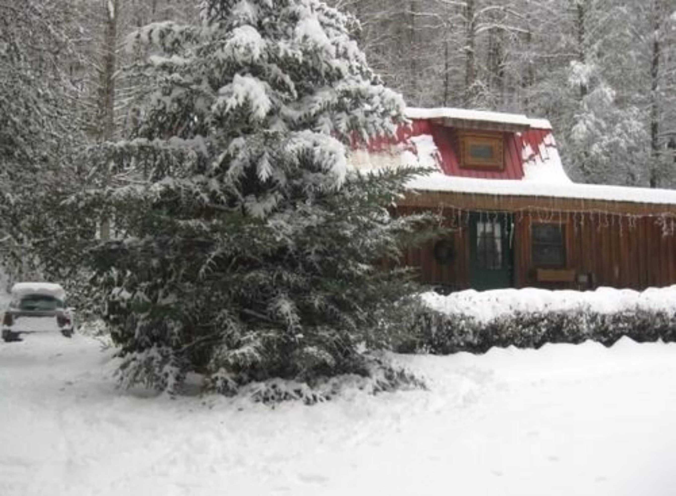 Gift card for Buffalo Creek Bed & Breakfast Gift card for Buffalo Creek Bed & Breakfast