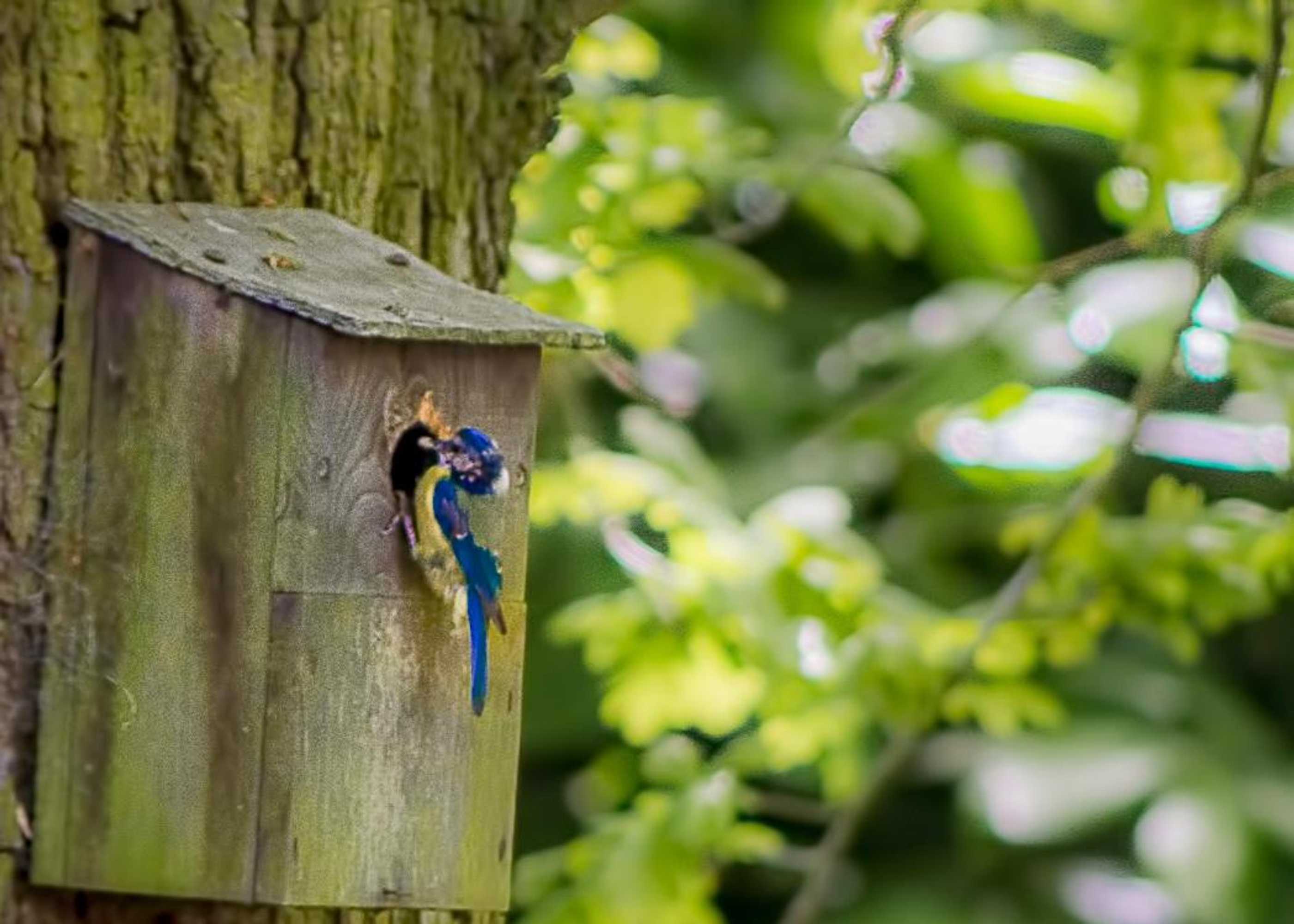 Gift card for Pretty Maid House B&b