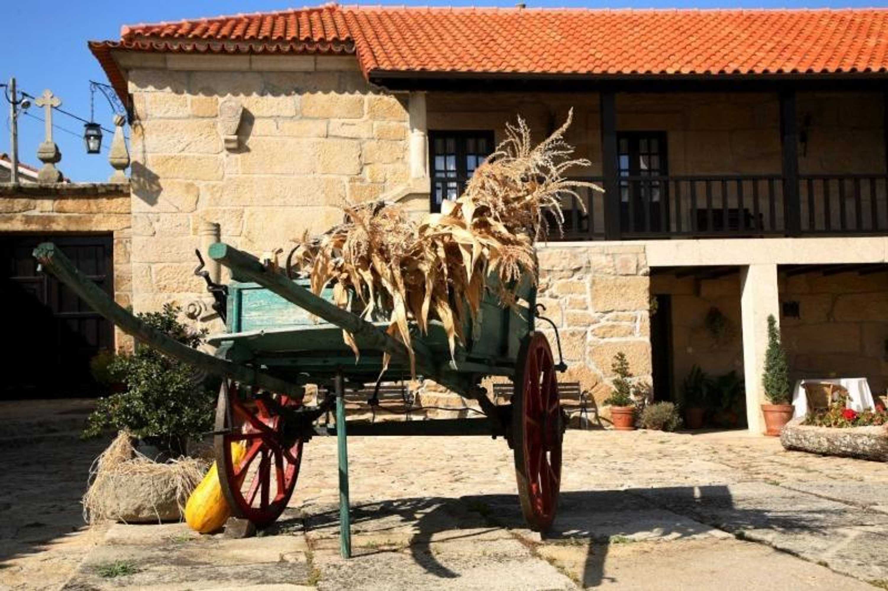 Gift card for Casa do Meio do Povo