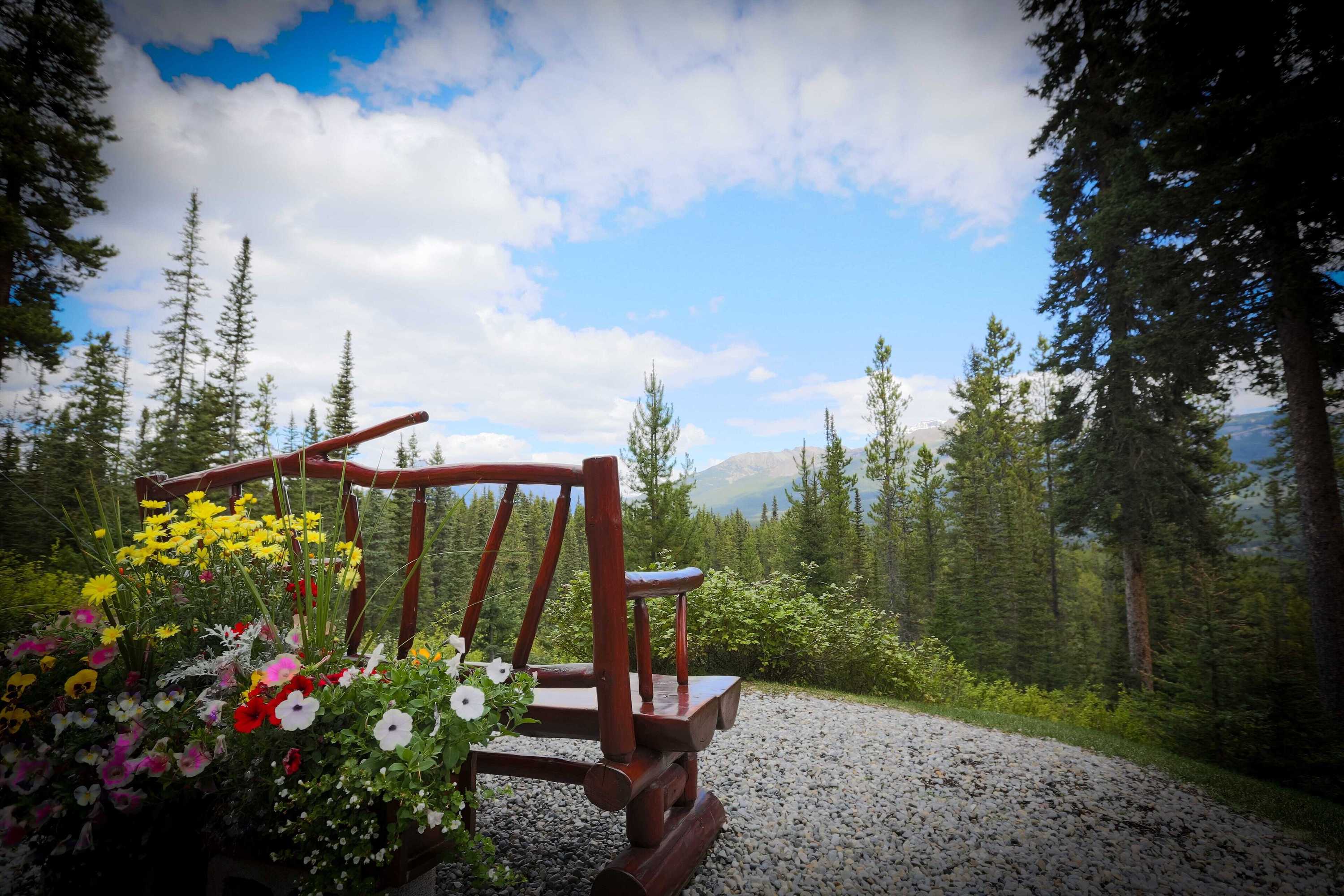 Gift card for Paradise Lodge And Bungalows Gift card for Paradise Lodge And Bungalows