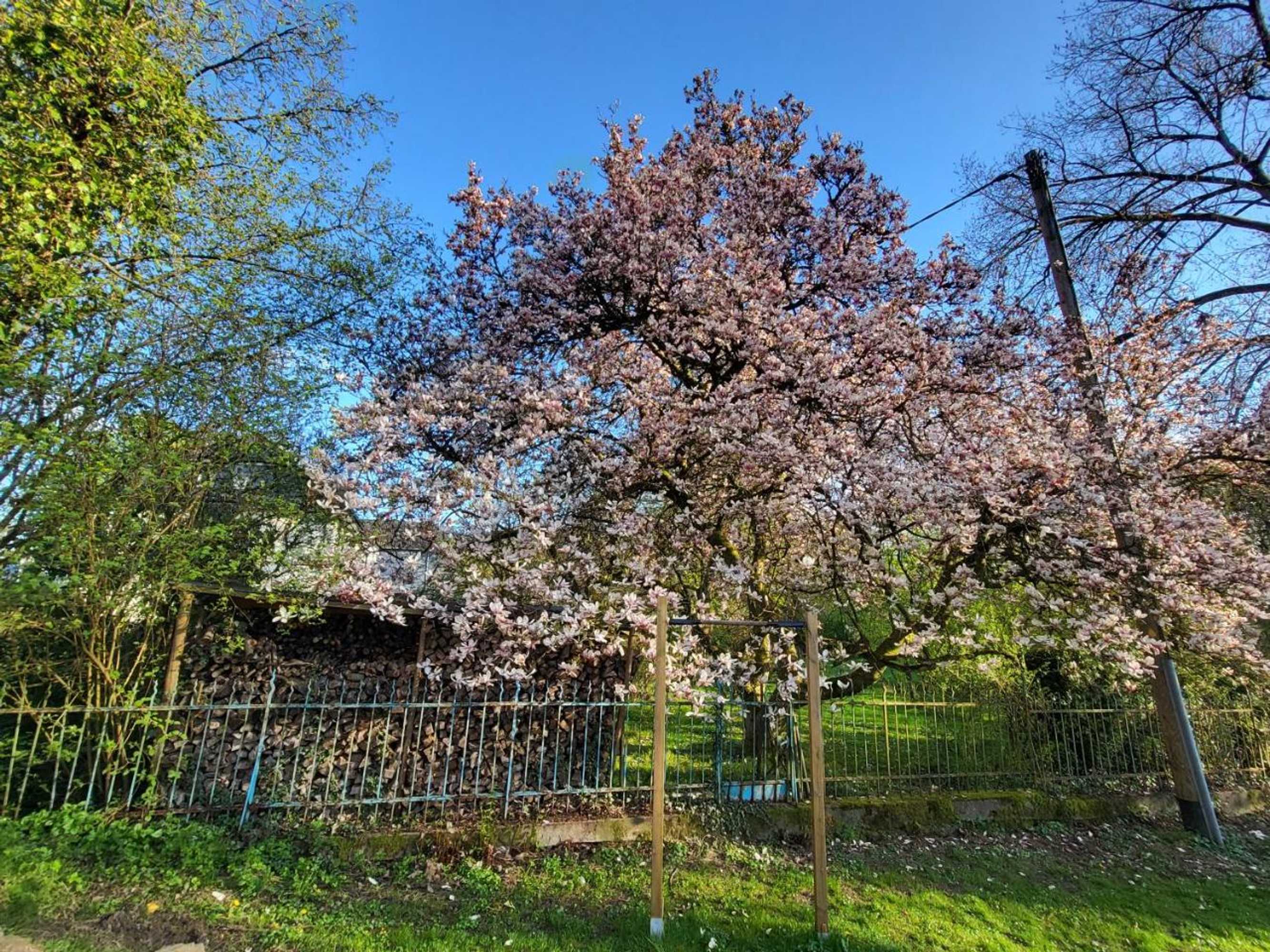 Gift card for Bergischer Hof Flair Hotel