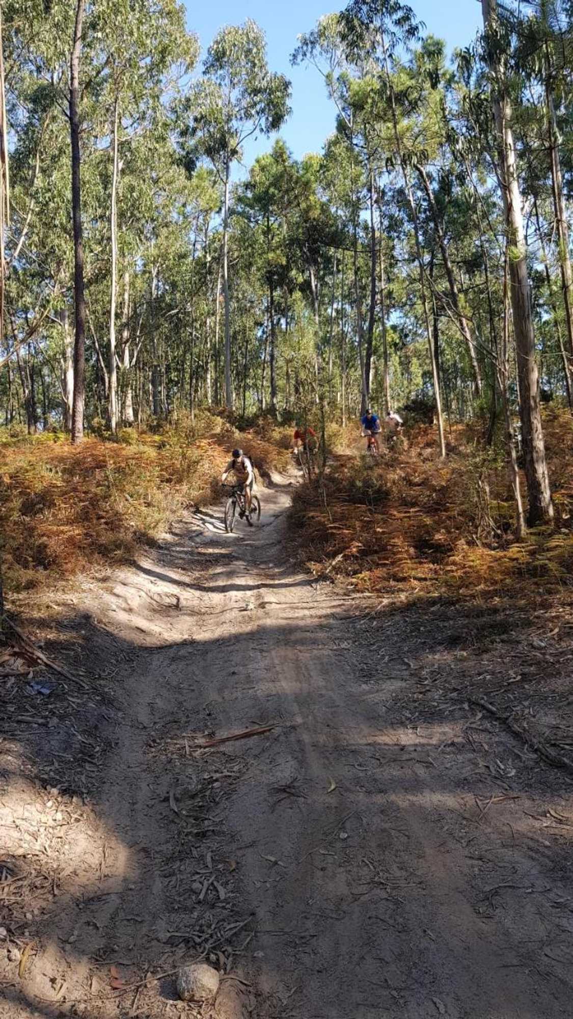 Gift card for Innesposende Sports Hostel