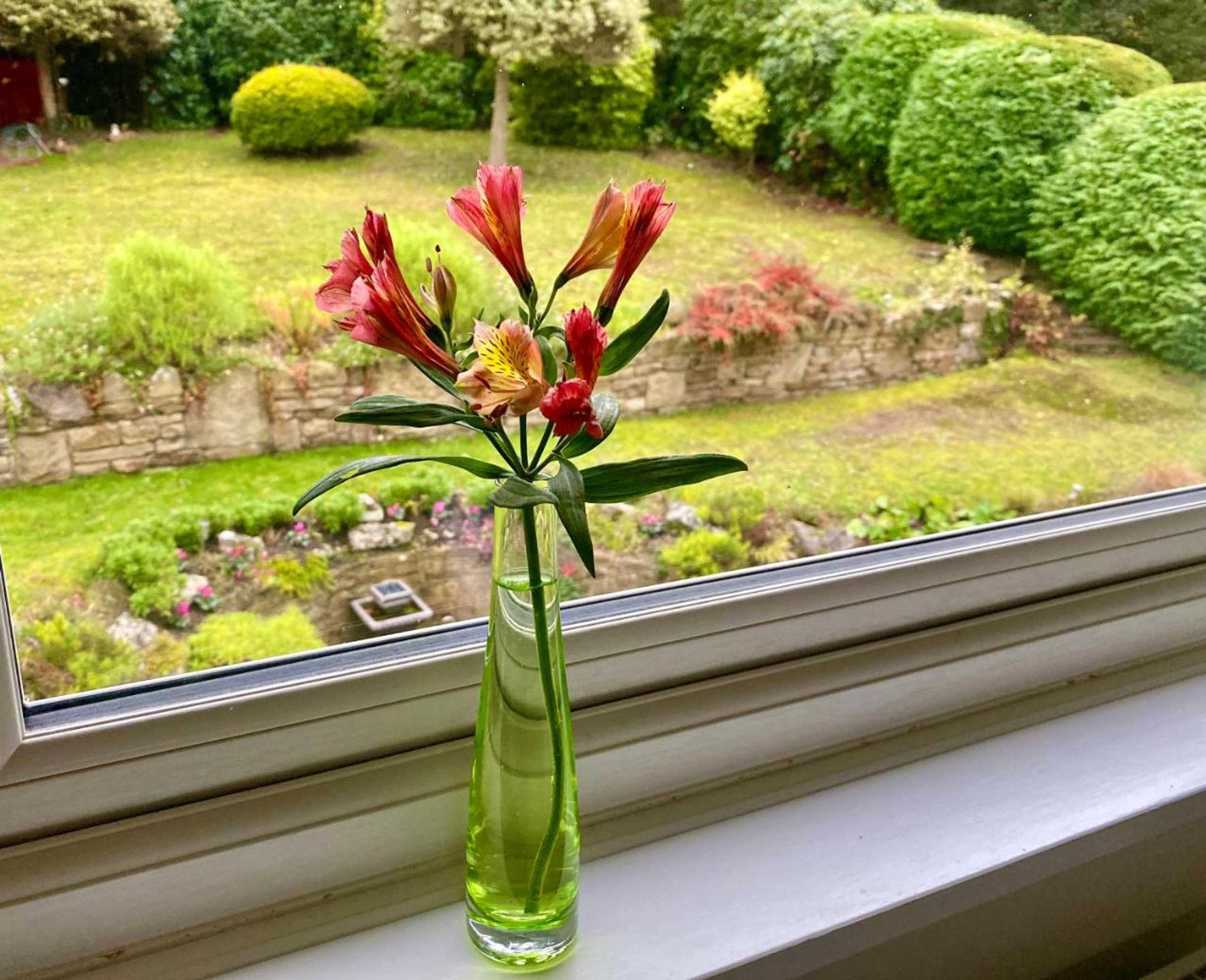 Gift card for Ranmore Rise Bed And Breakfast