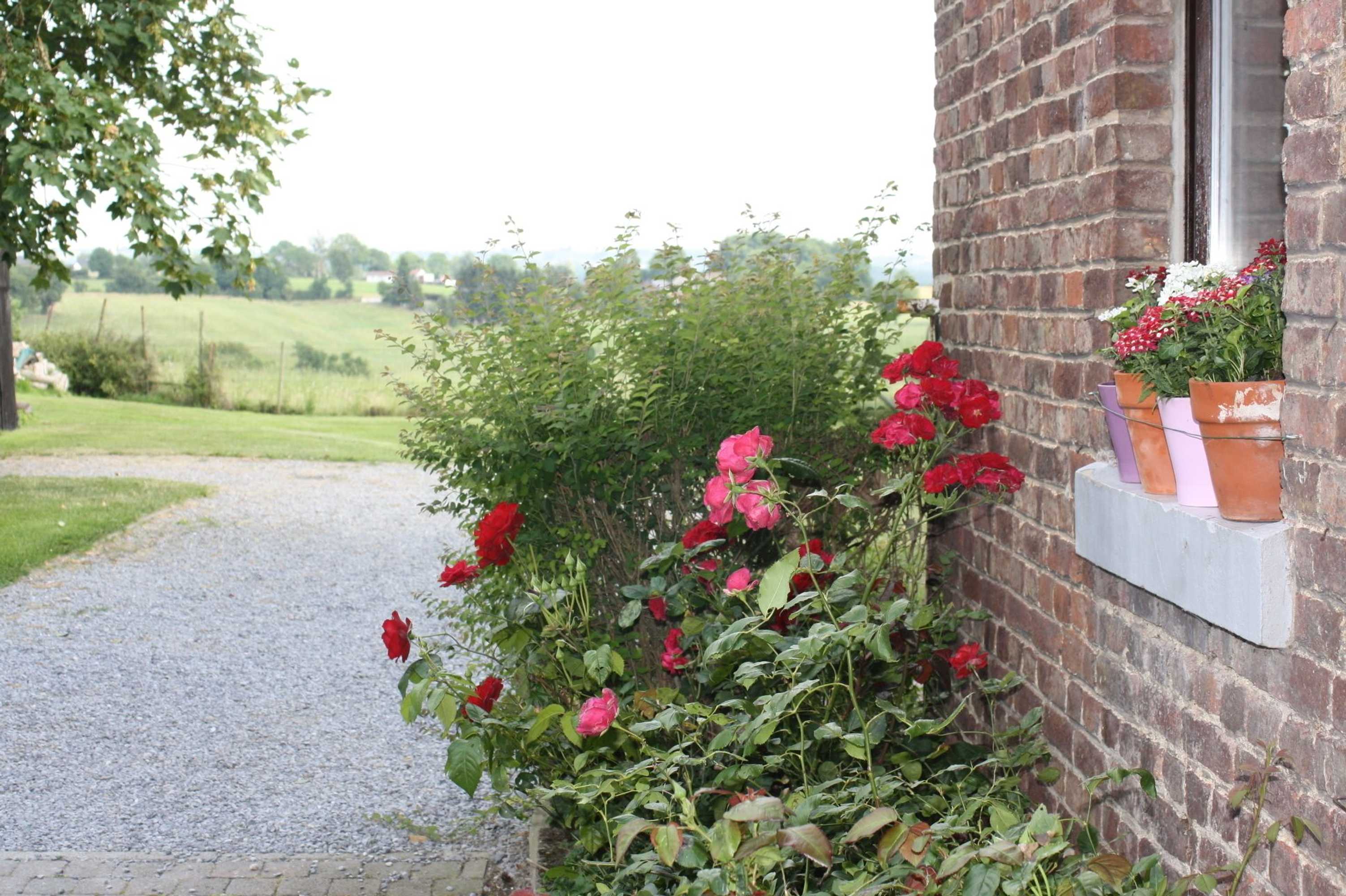 Gift card for Ô Macra