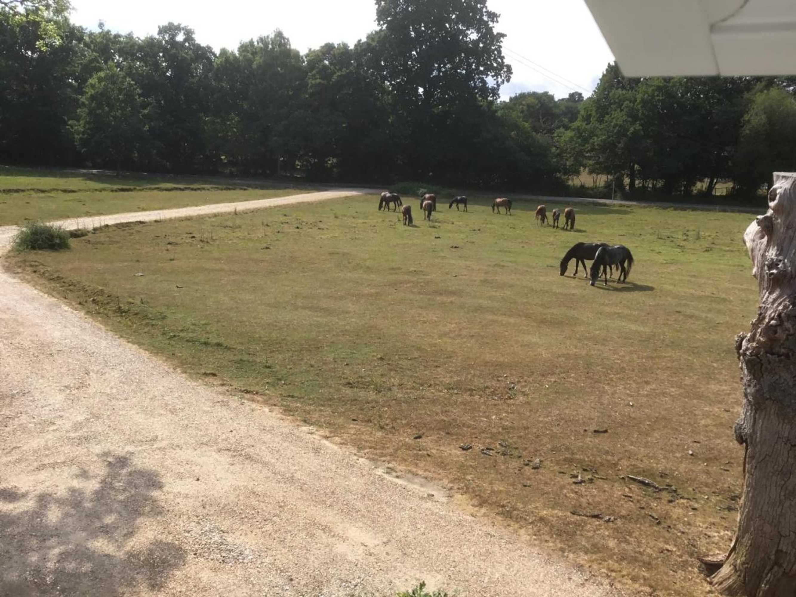 Gift card for Longwood Forest Apartment