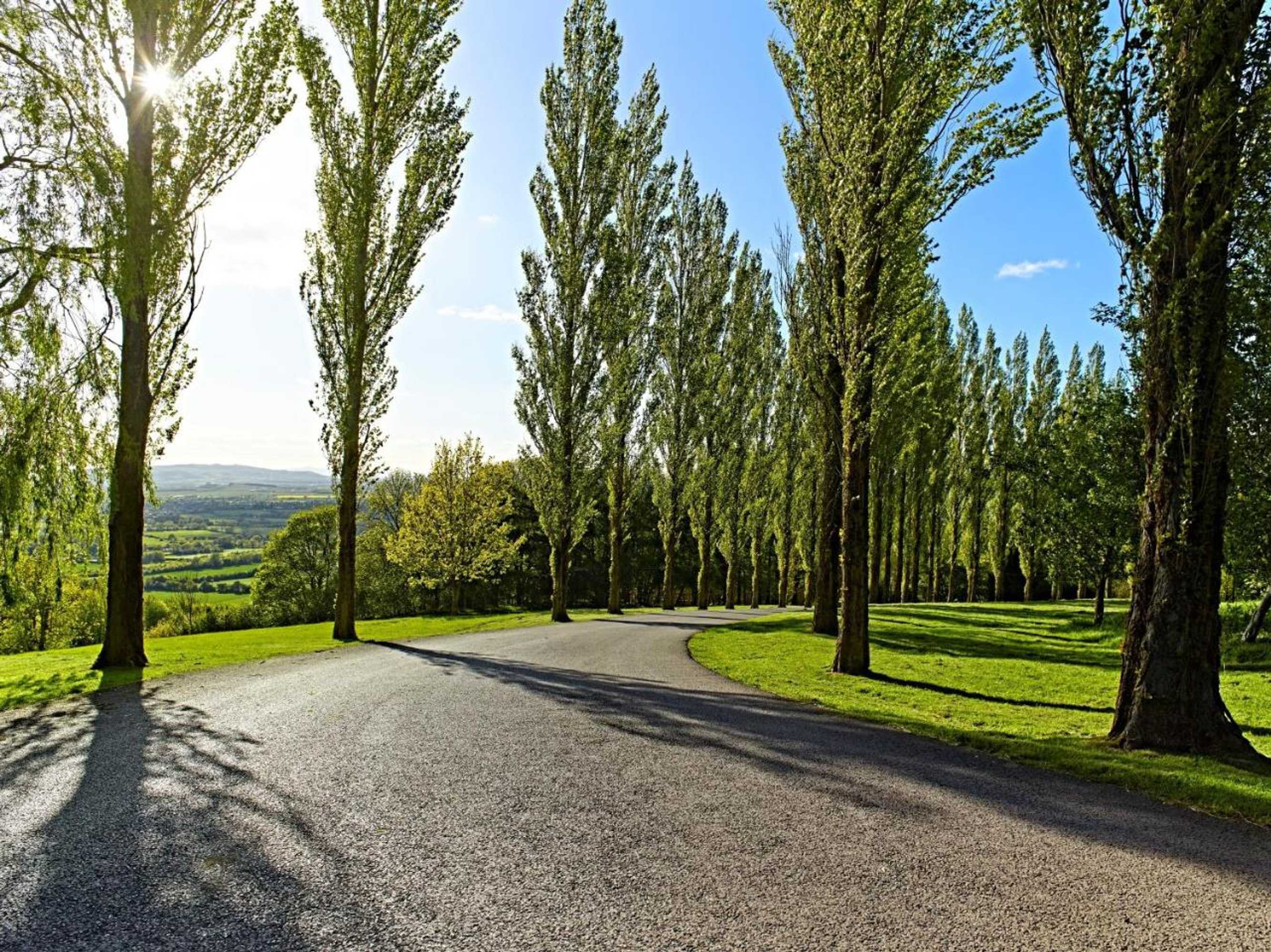 Gift card for The Fish Hotel