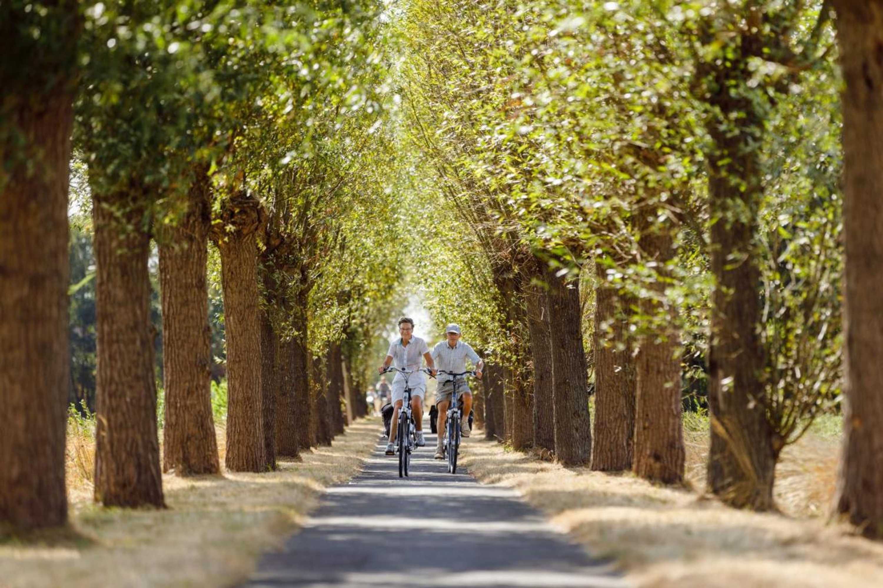 Gift card for Rcn de Flaasbloem