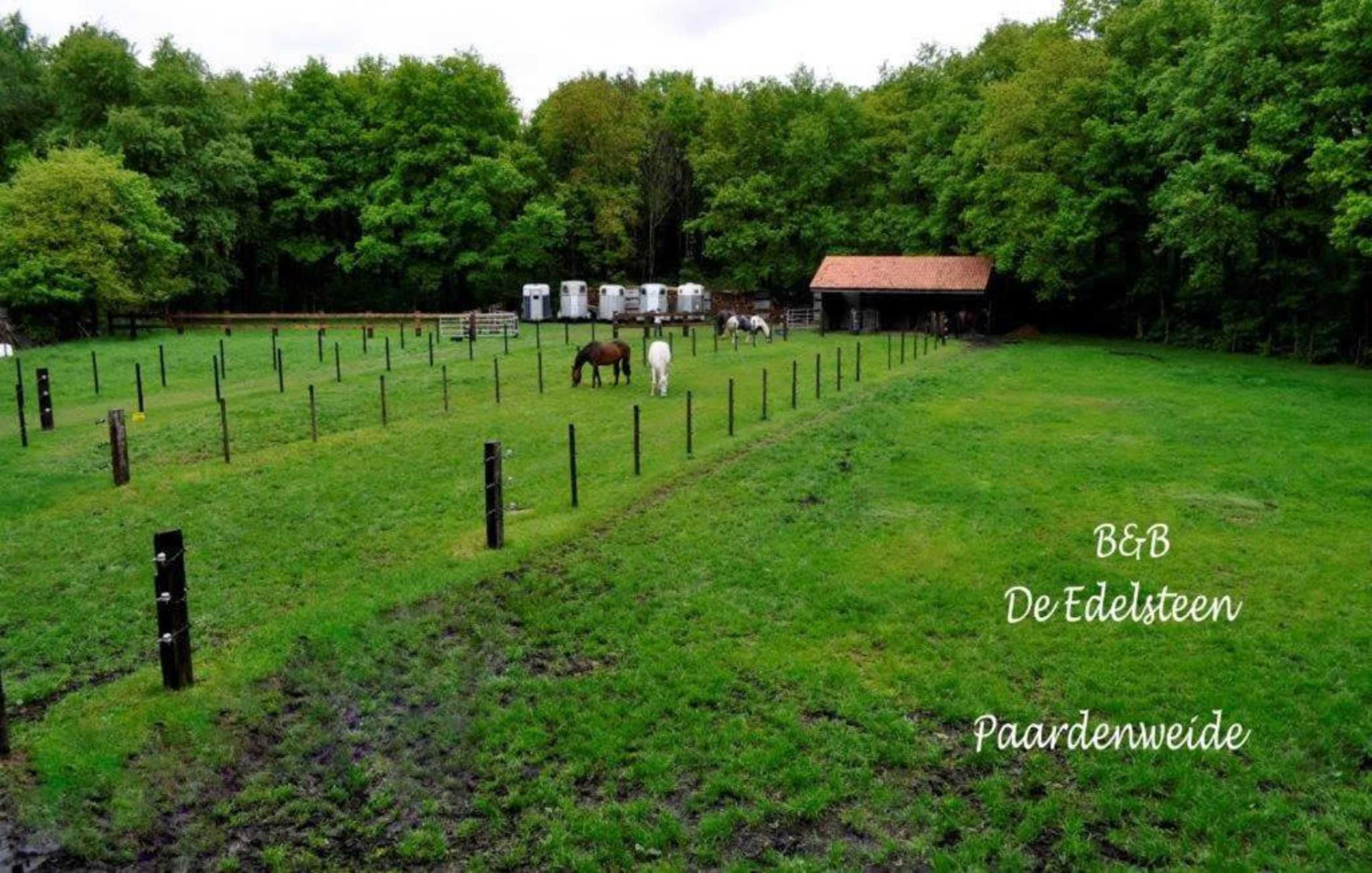 Gift card for B&b De Edelsteen