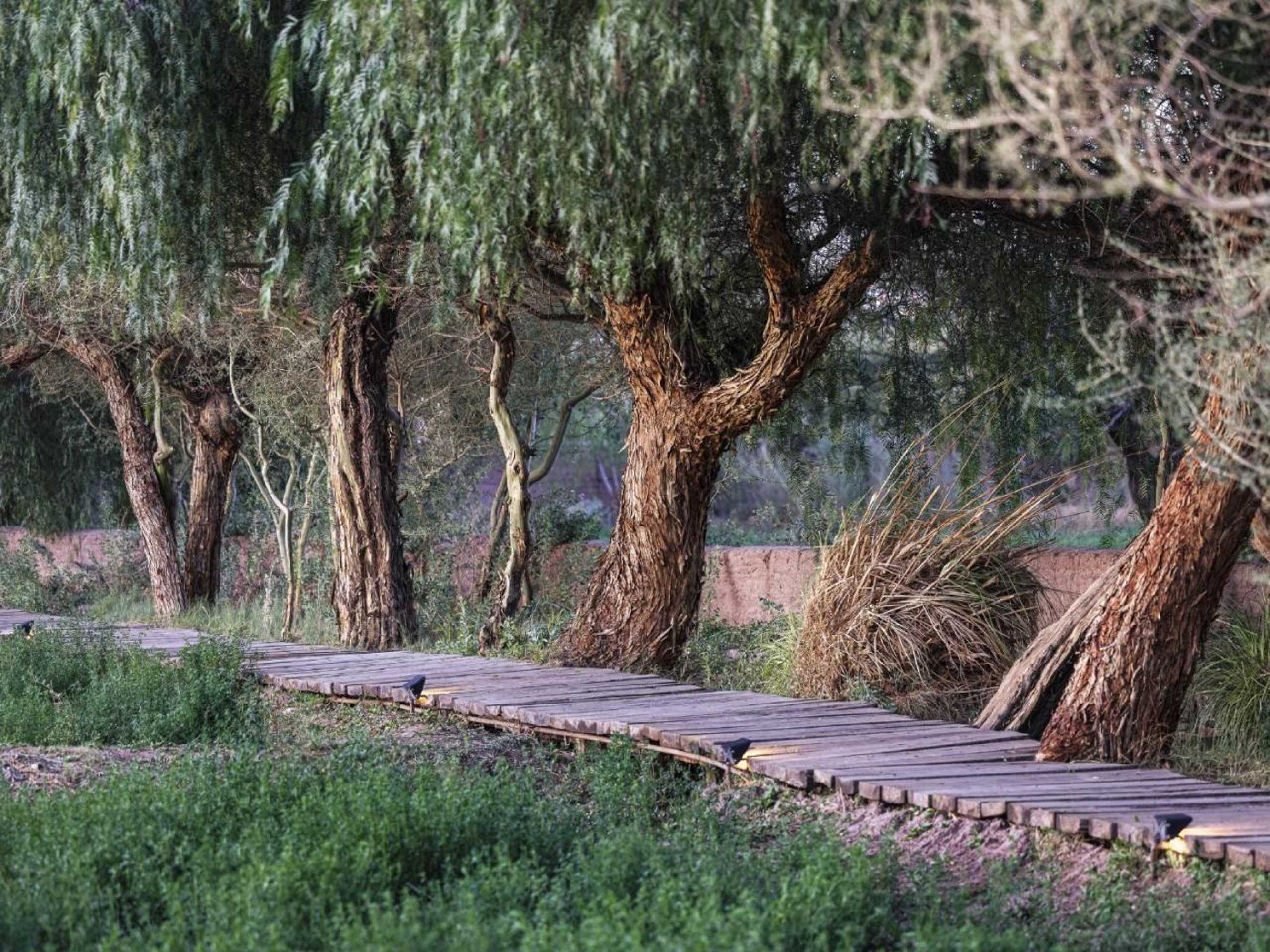 Gift card for Explora Atacama Gift card for Explora Atacama