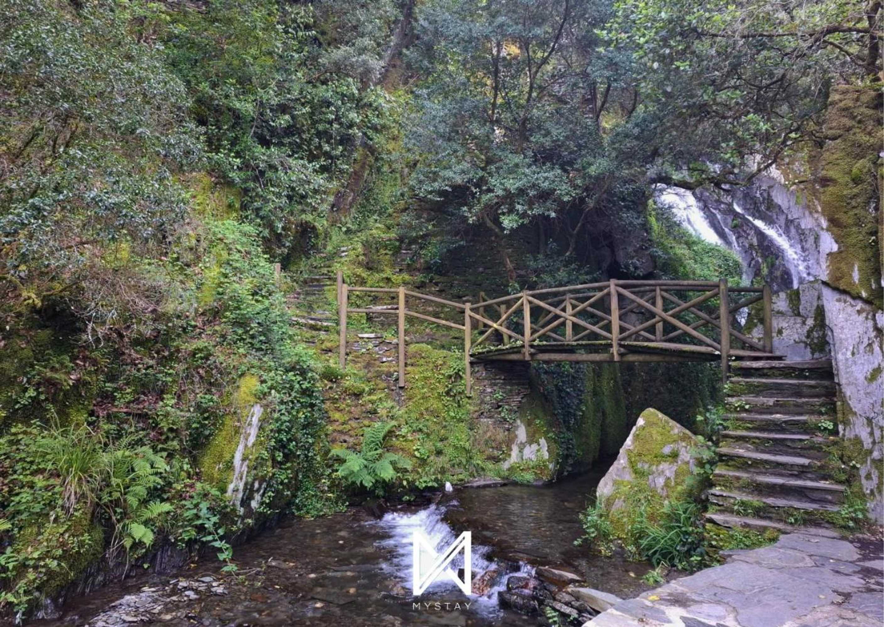 Gift card for Campus Natura