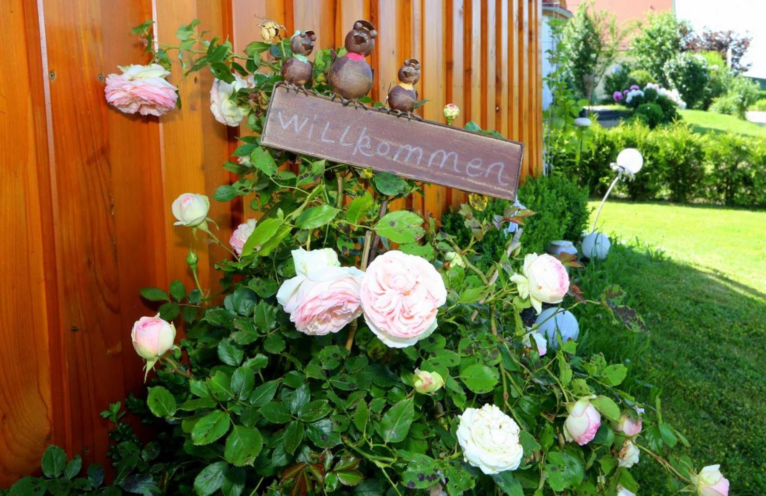 Gift card for Ferienwohnung Maria Waldblick 95 Qm- 2 Schlafzimmer Mit Balkon