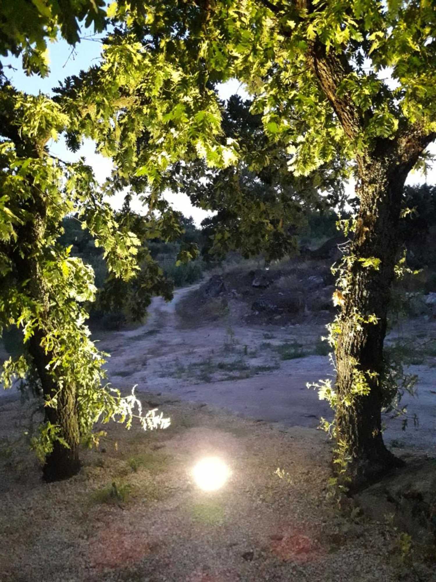 Gift card for Casa do Feitor - Douro - Quinta da Cabrida Gift card for Casa do Feitor - Douro - Quinta da Cabrida