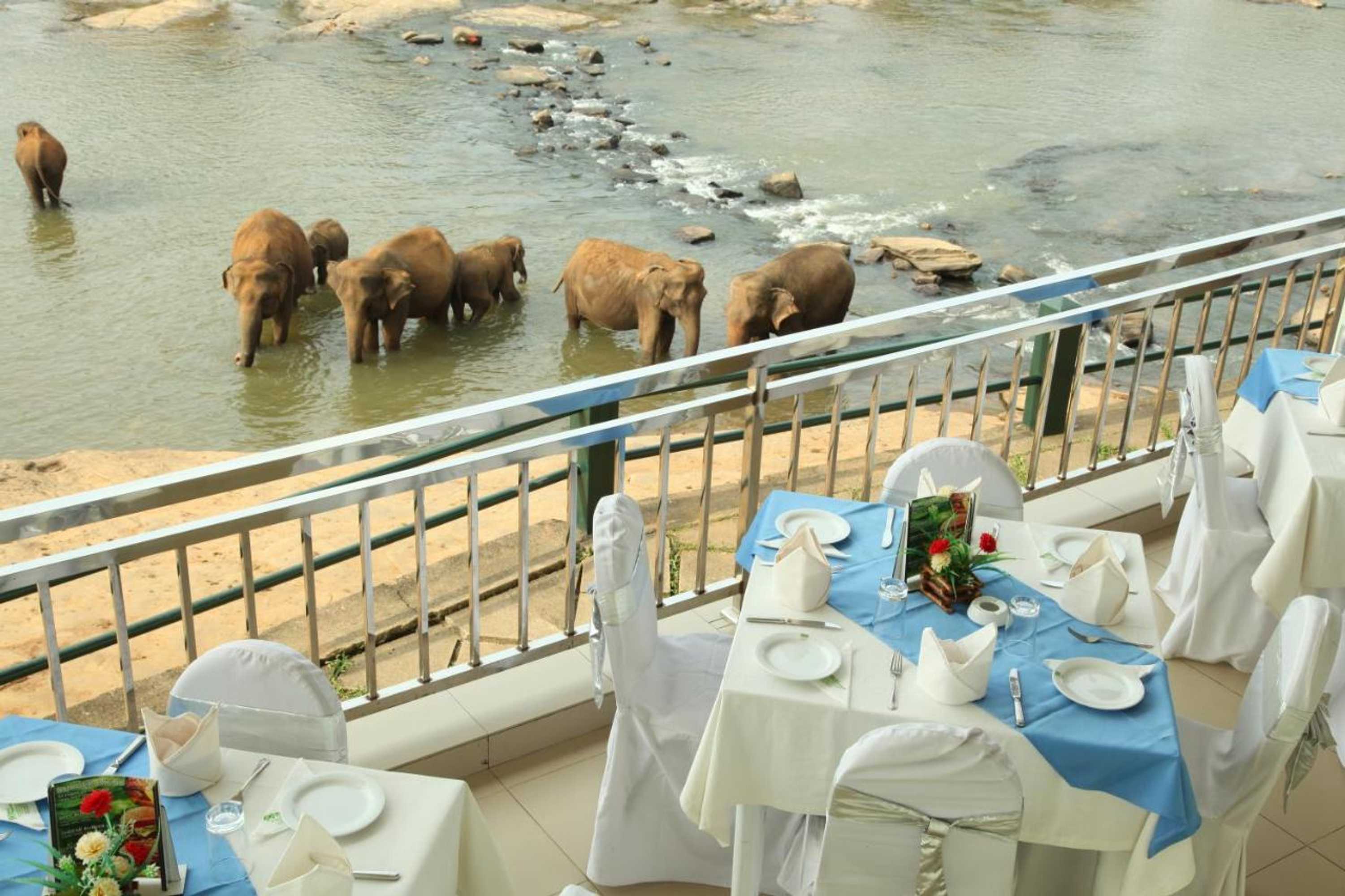 Gift card for Hotel Pinnalanda - New Deal! Half Off Airport Pickups Available Gift card for Hotel Pinnalanda - New Deal! Half Off Airport Pickups Available