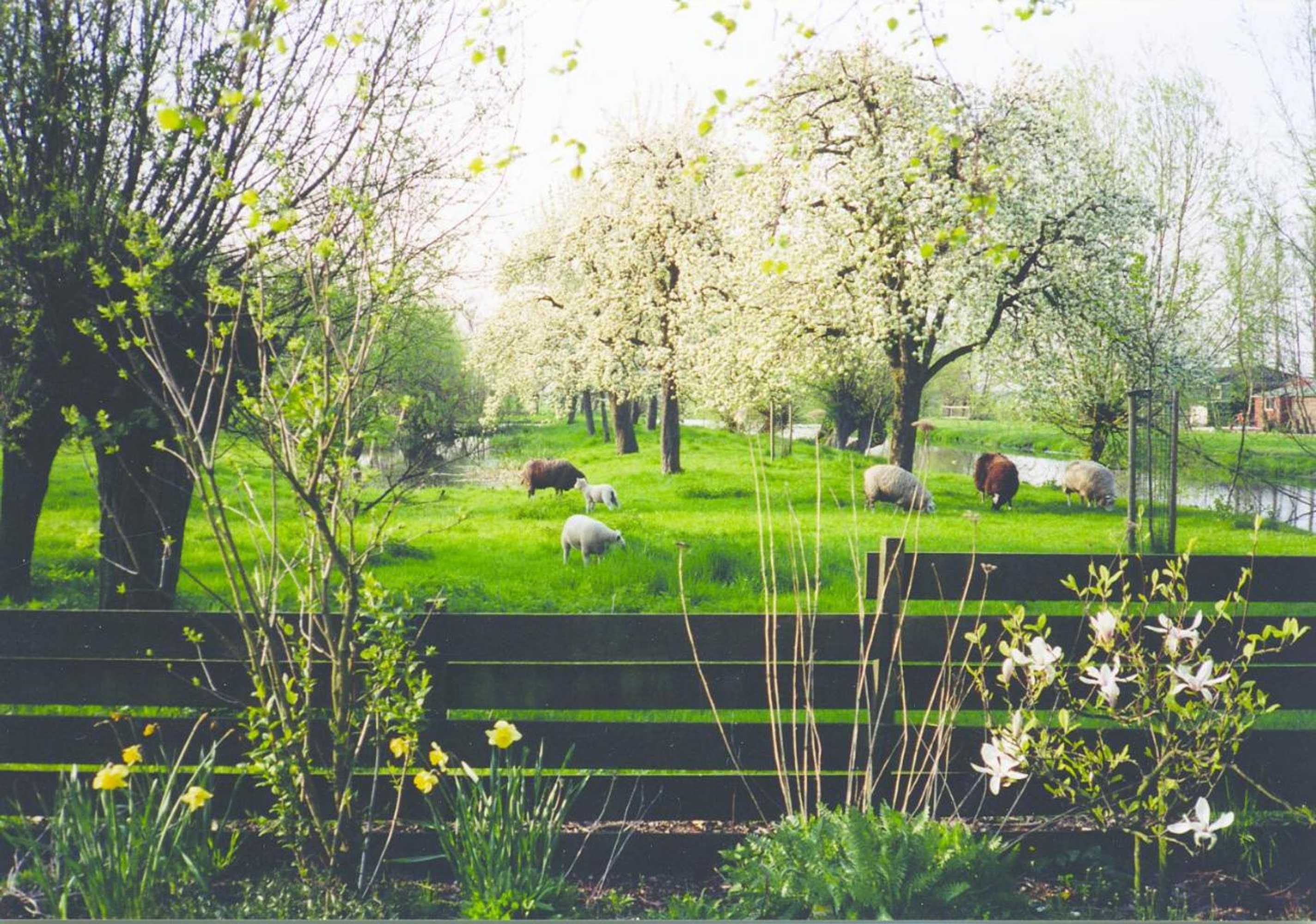 Gift card for De Boomgaard Groene Hart