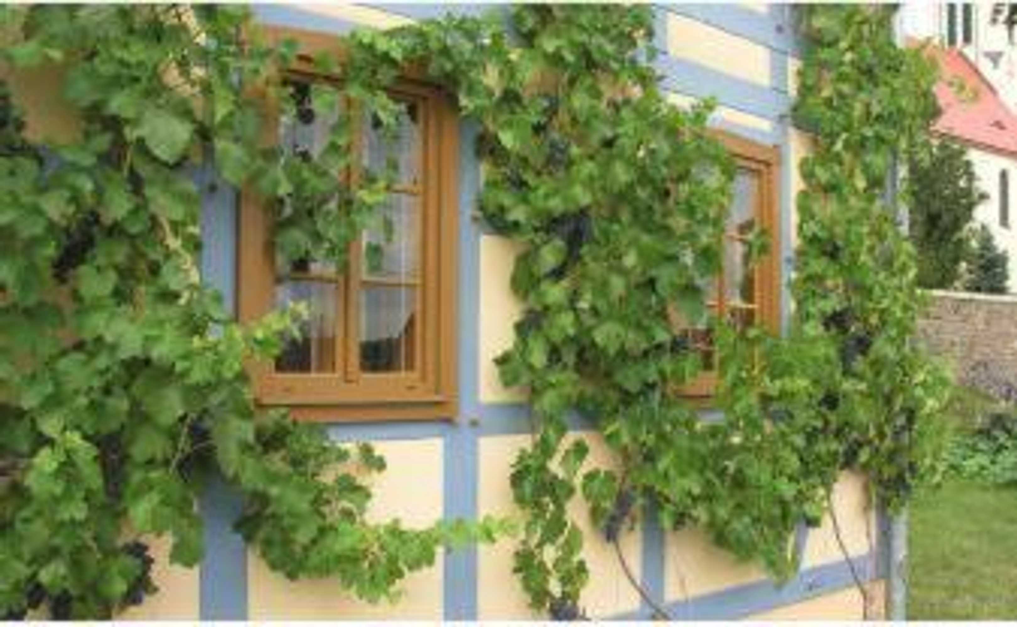 Gift card for In Der Alten Weinstube