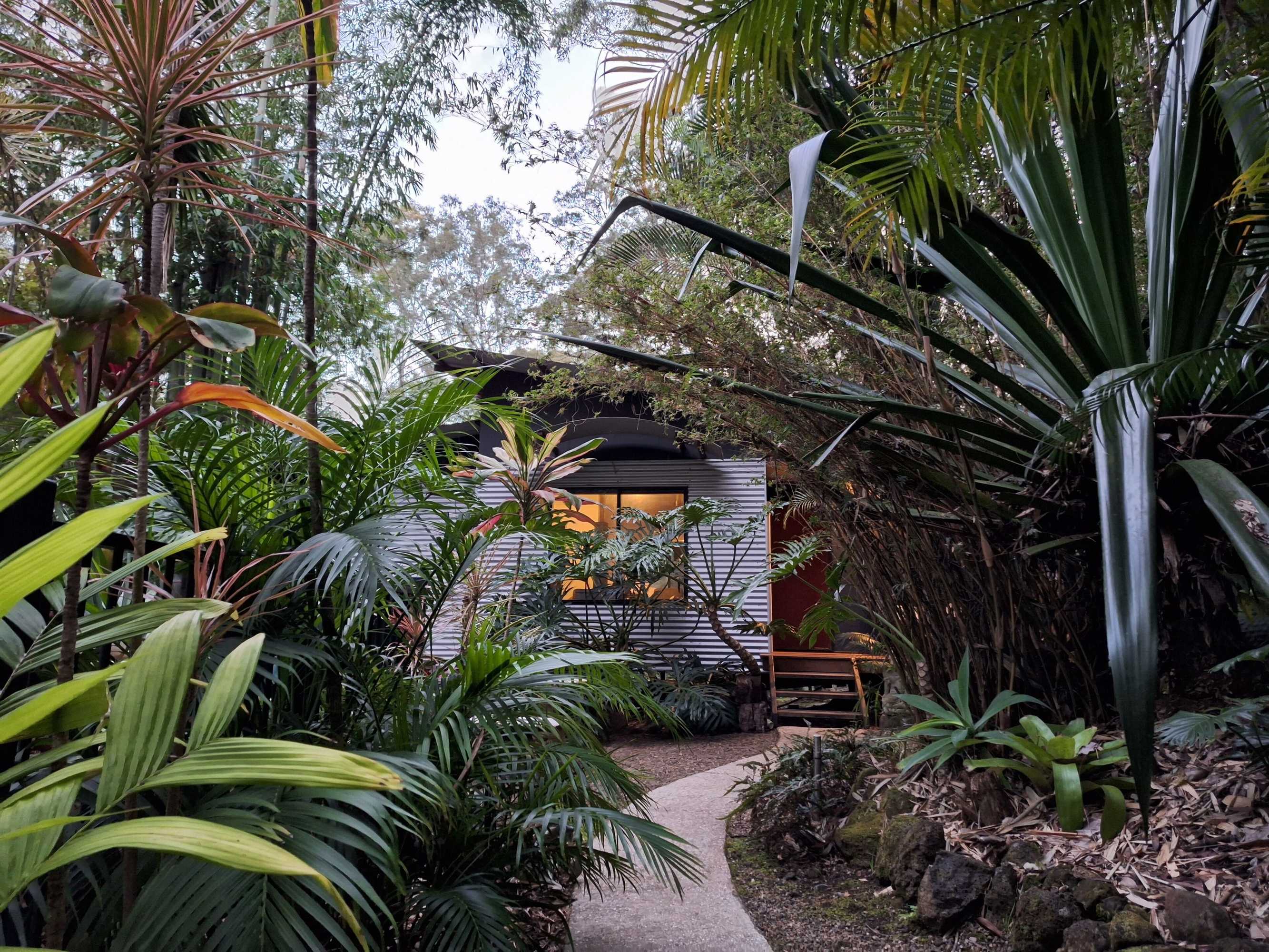 Gift card for Alaya Ascend