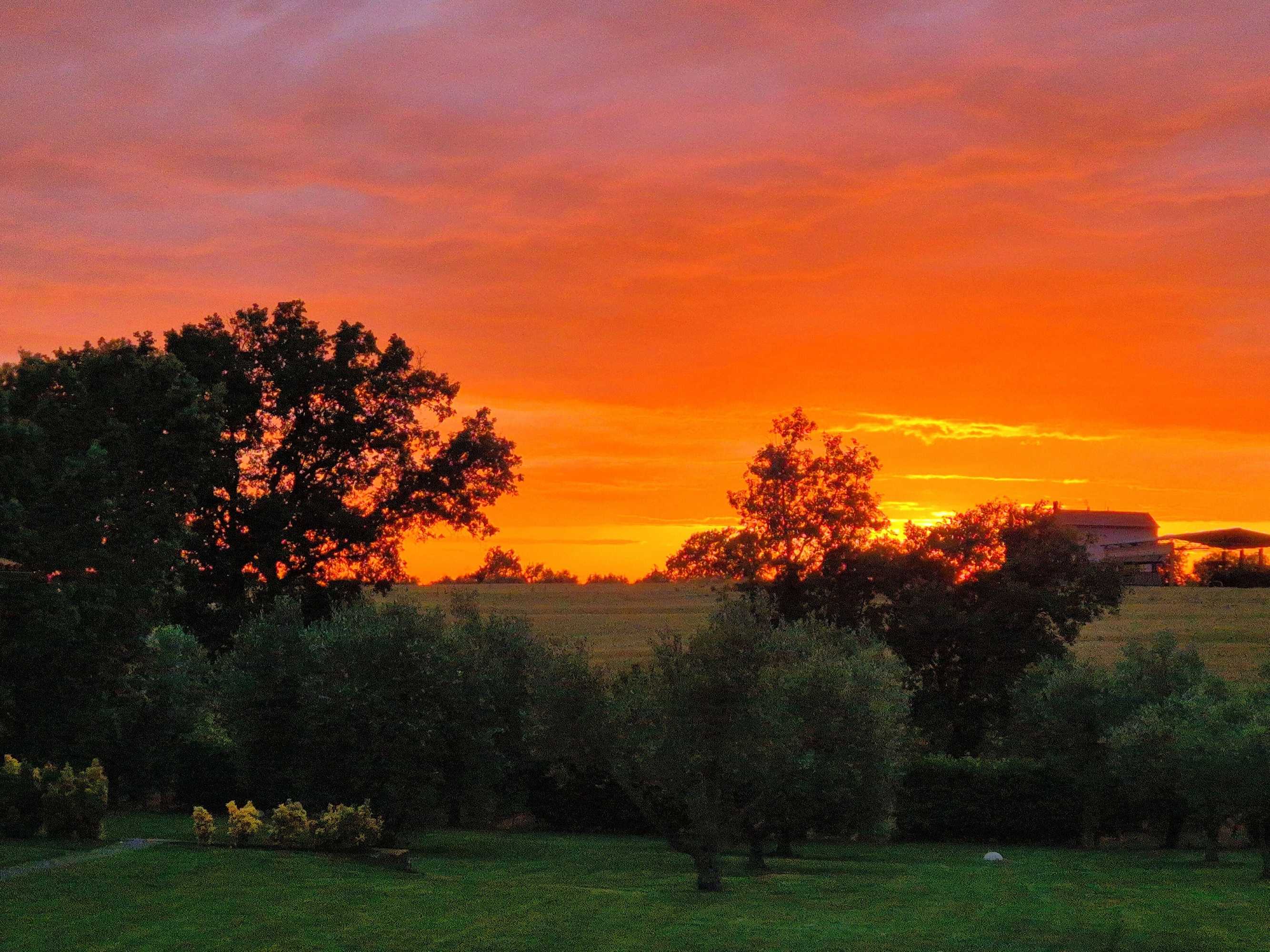 Gift card for Agriturismo Il Migliarino