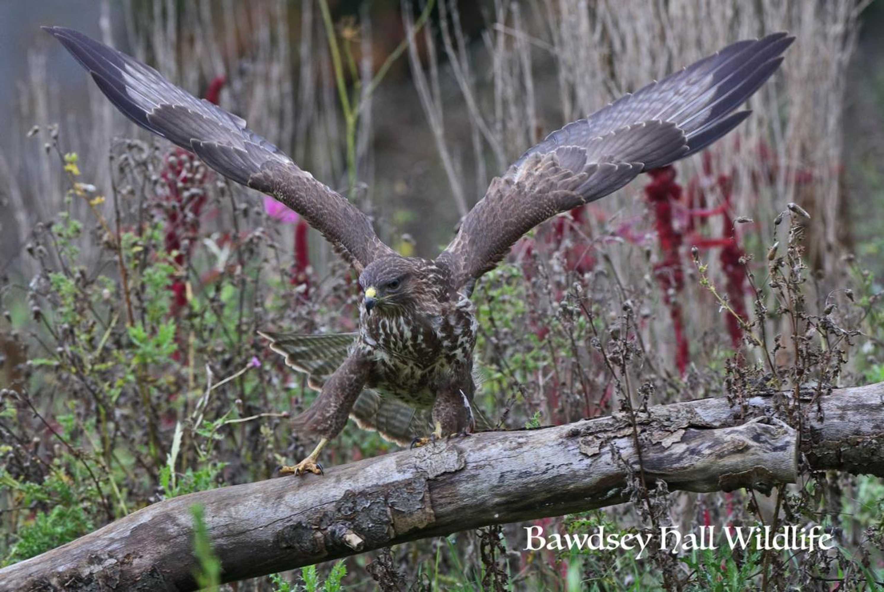 Gift card for Bawdsey Hall