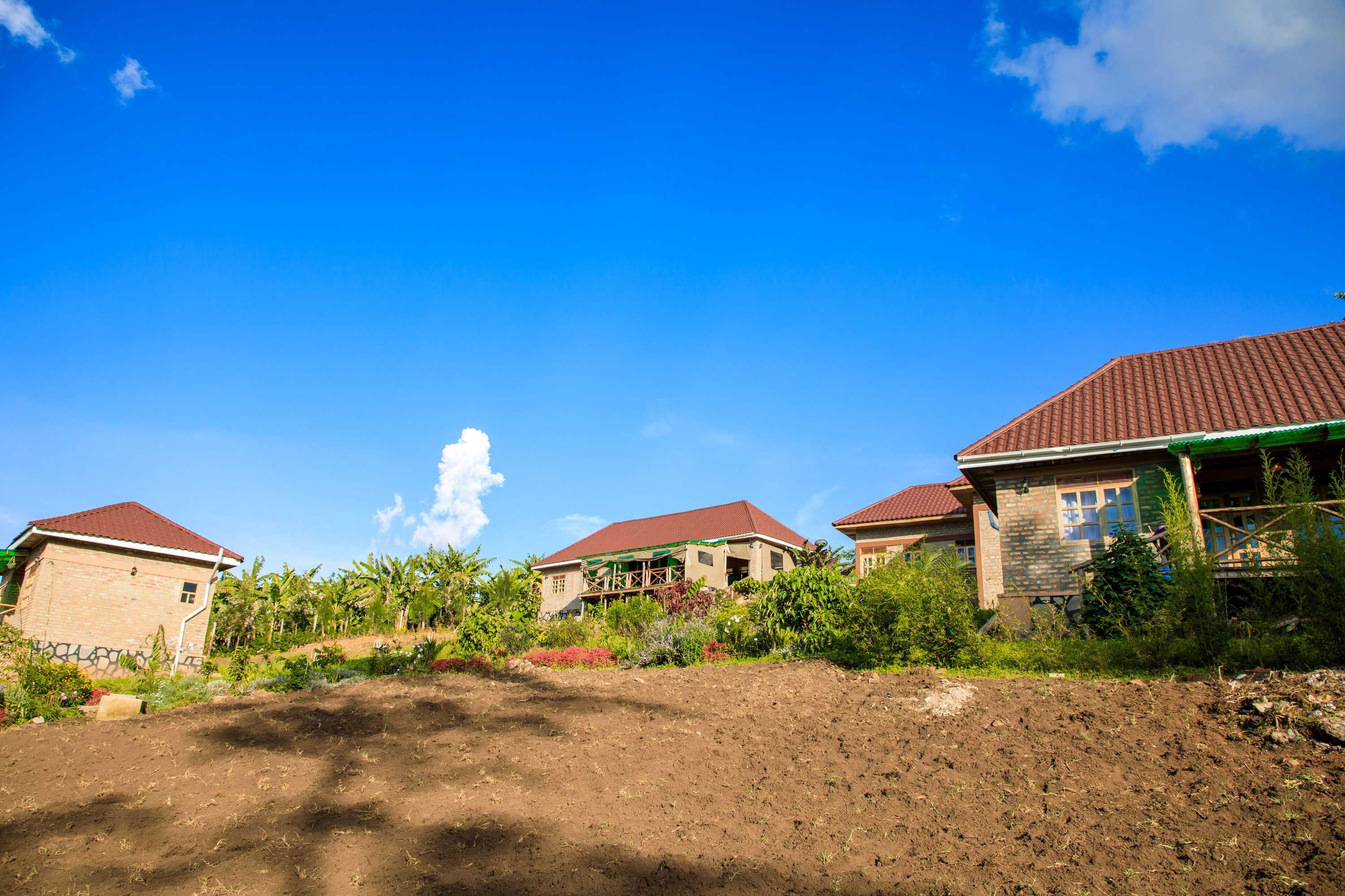 Gift card for Apuuli Safaris & Cottages Gift card for Apuuli Safaris & Cottages